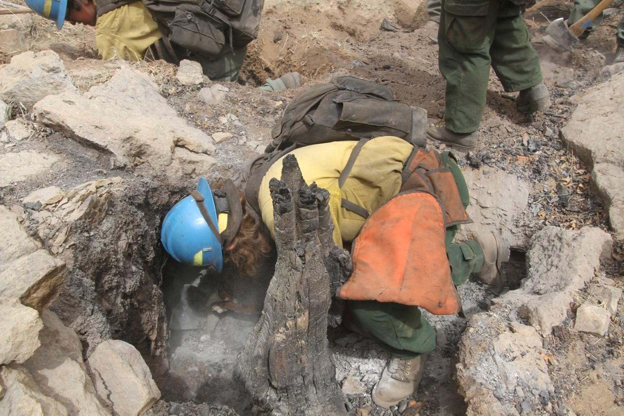 Firefighter with blue helmet, yellow shirt, and green pants down in sunken burned stump hole to dig and expose buried heat.