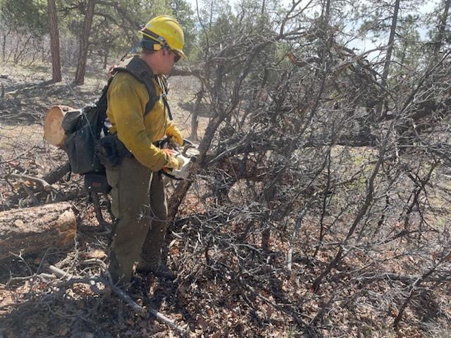 Firefighter cutting brush for line preparation