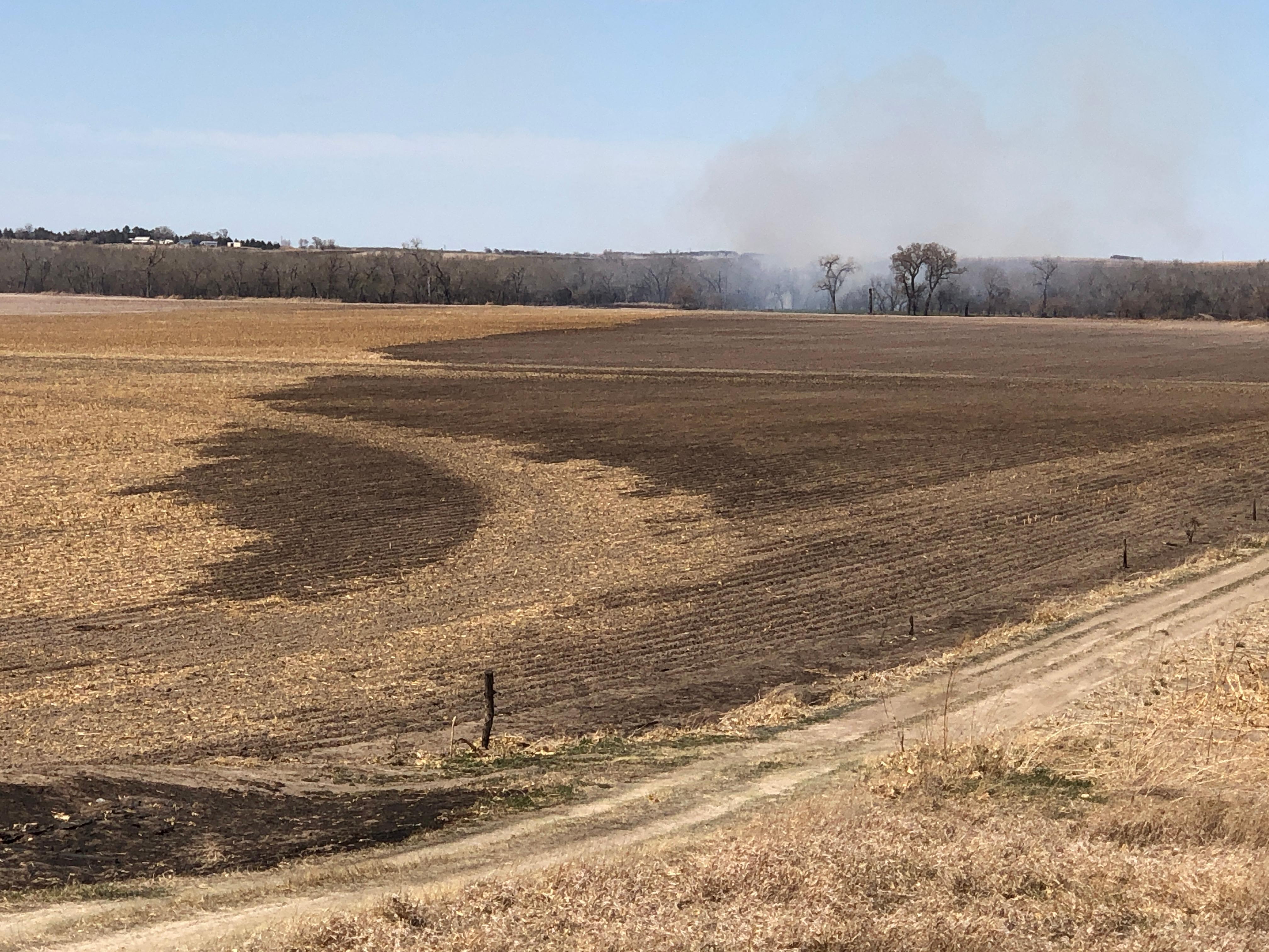 Burn within agricultural field