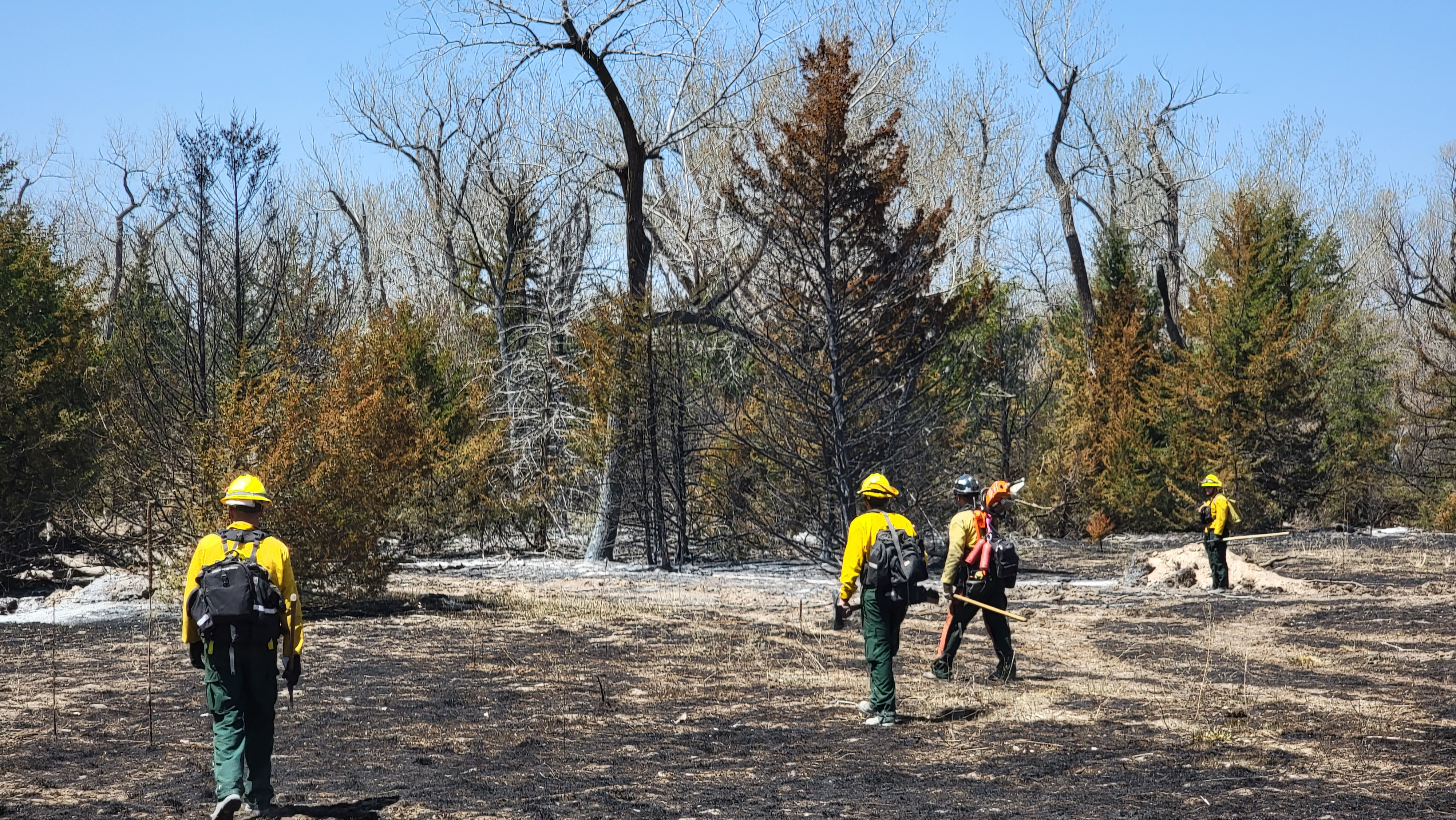 Crew of firefighters walking through forest.