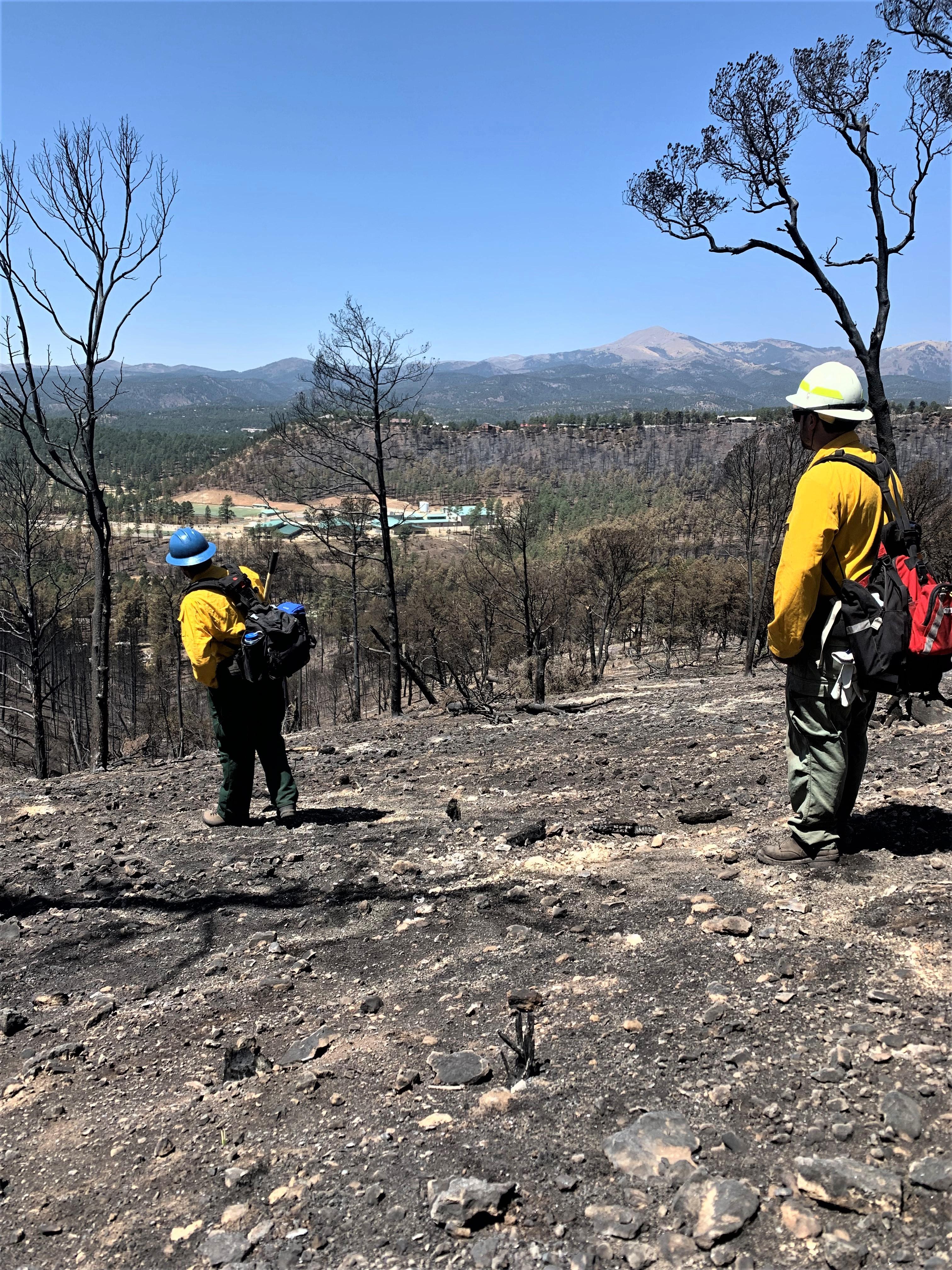Image showing BAER Assessing Conditions in McBride Burned Area Coming down from a ridge