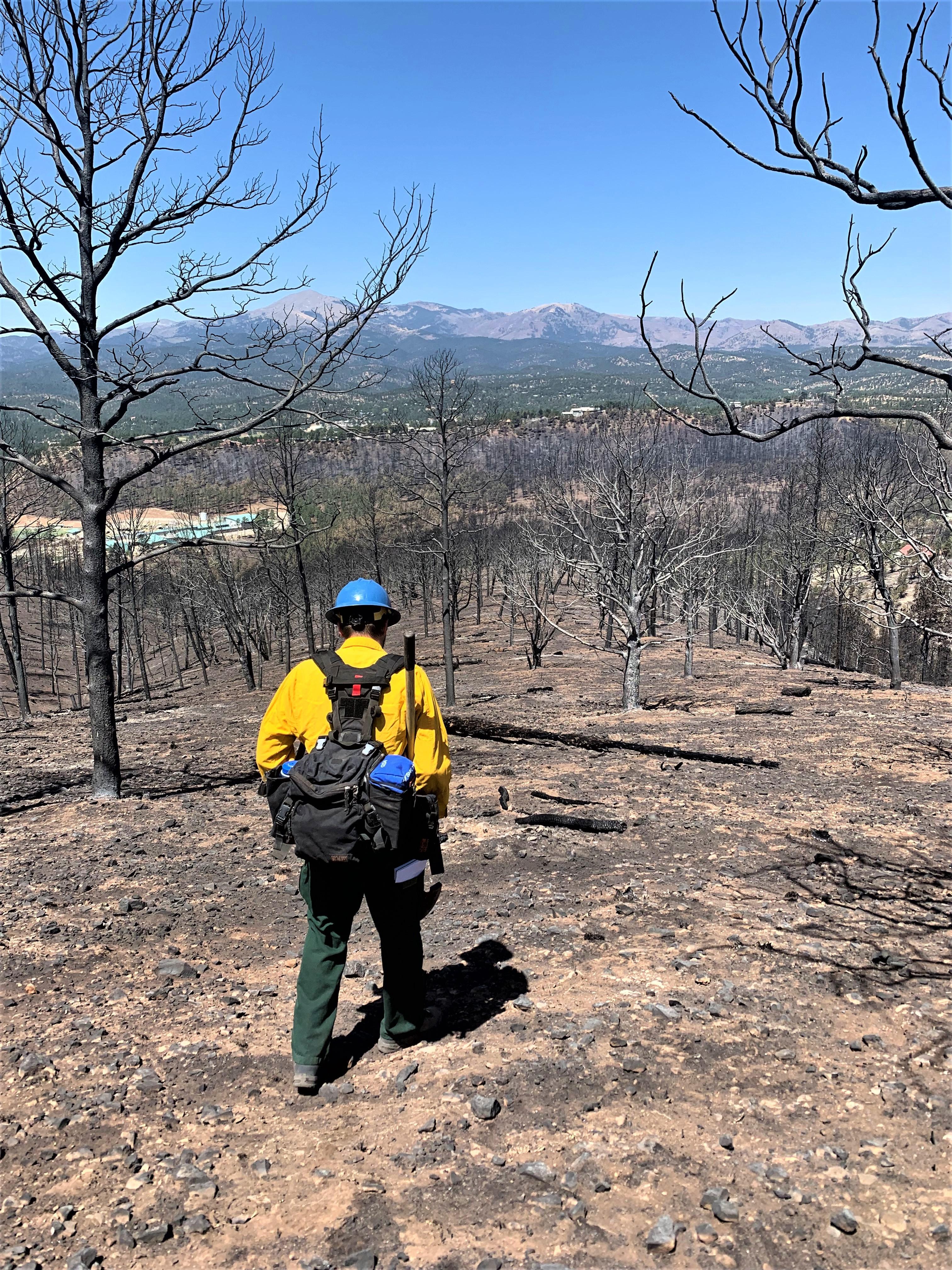 Image showing BAER Specialist hiking down a ridge assessing conditions in the McBride Burned Area