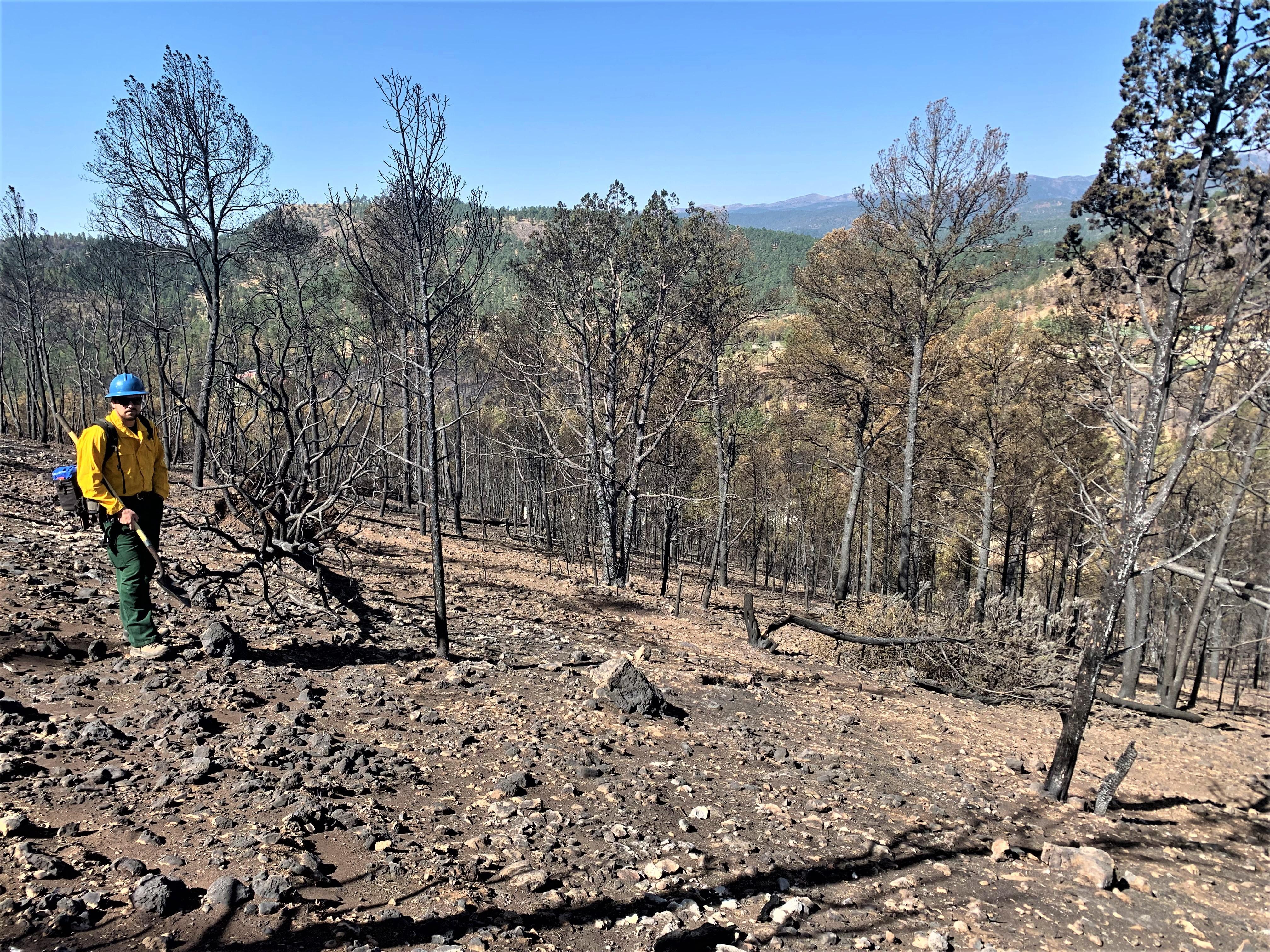 Image showing Moderate soil burn severity Burned Rocky Slope and downed burned trees in McBride Burned Area