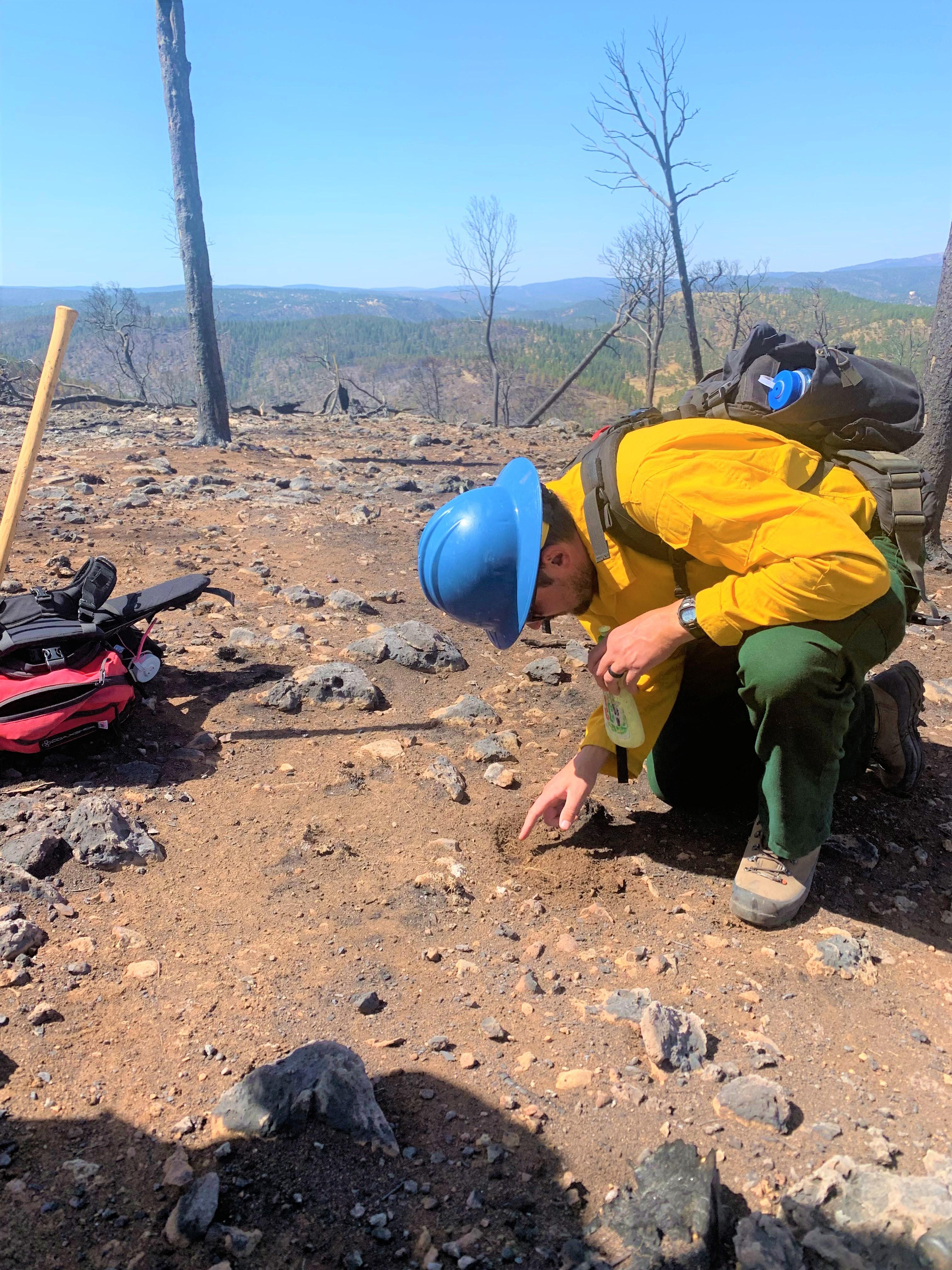 Image showing BAER Specialist Testing Hydrophobic Soils in McBride Burned Area
