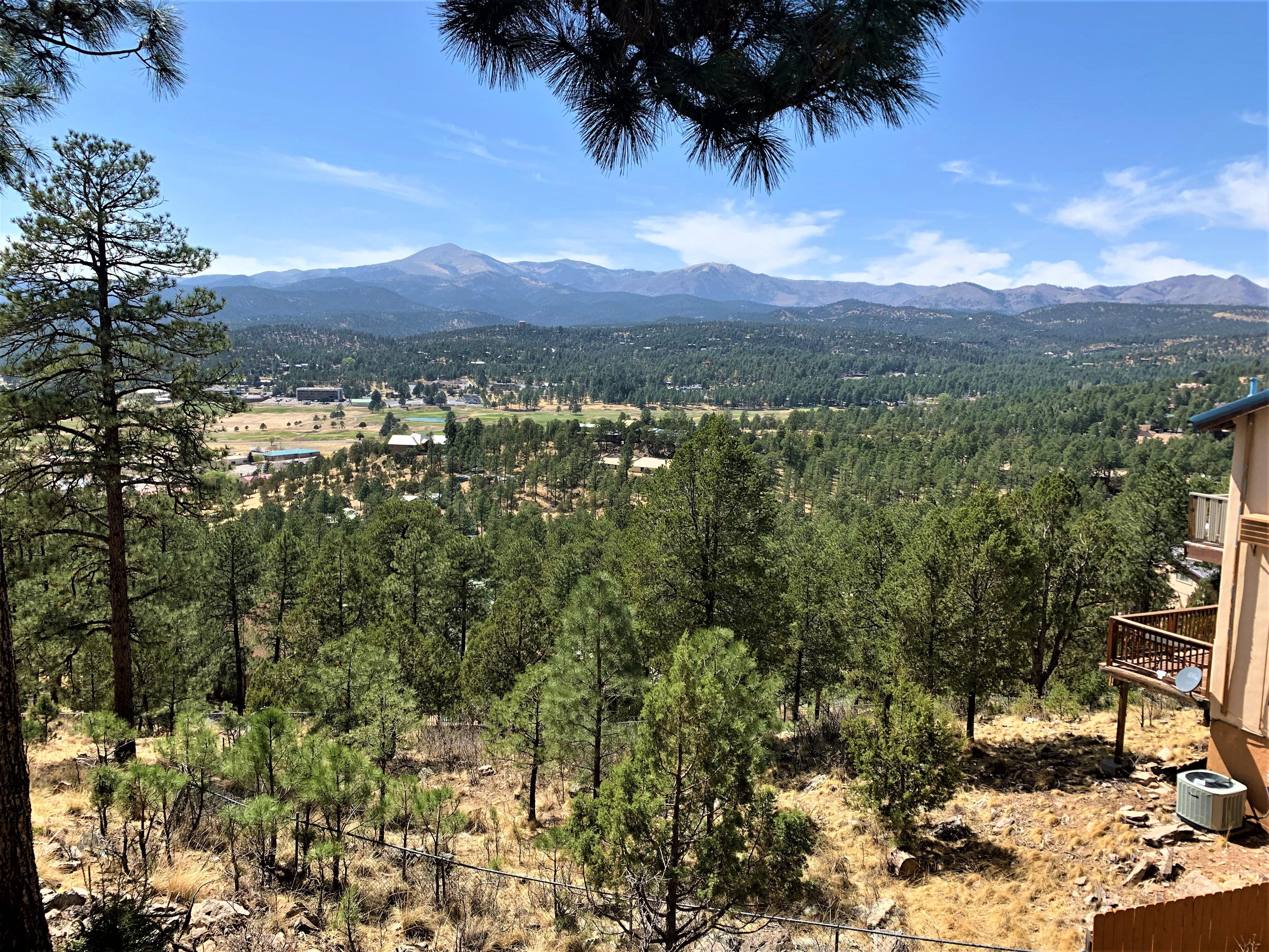 Image showing a view of unburned Gavilan Canyon