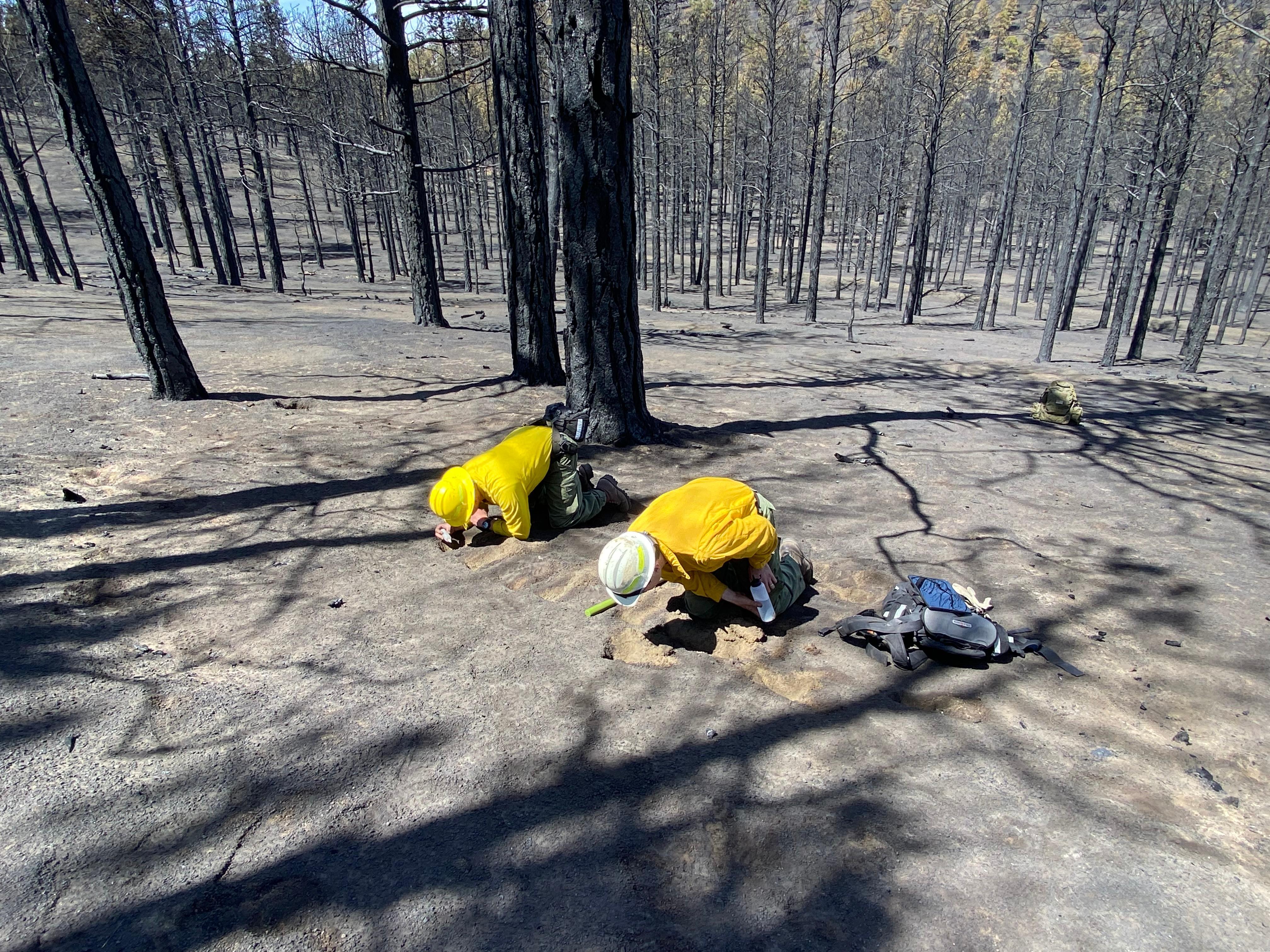 Hydrologist Dan Bone (left) and Soil Scientist Rob Ballard (right) conducting burn severity assessment on the Tunnel Fire west of Sunset Crater National Monument