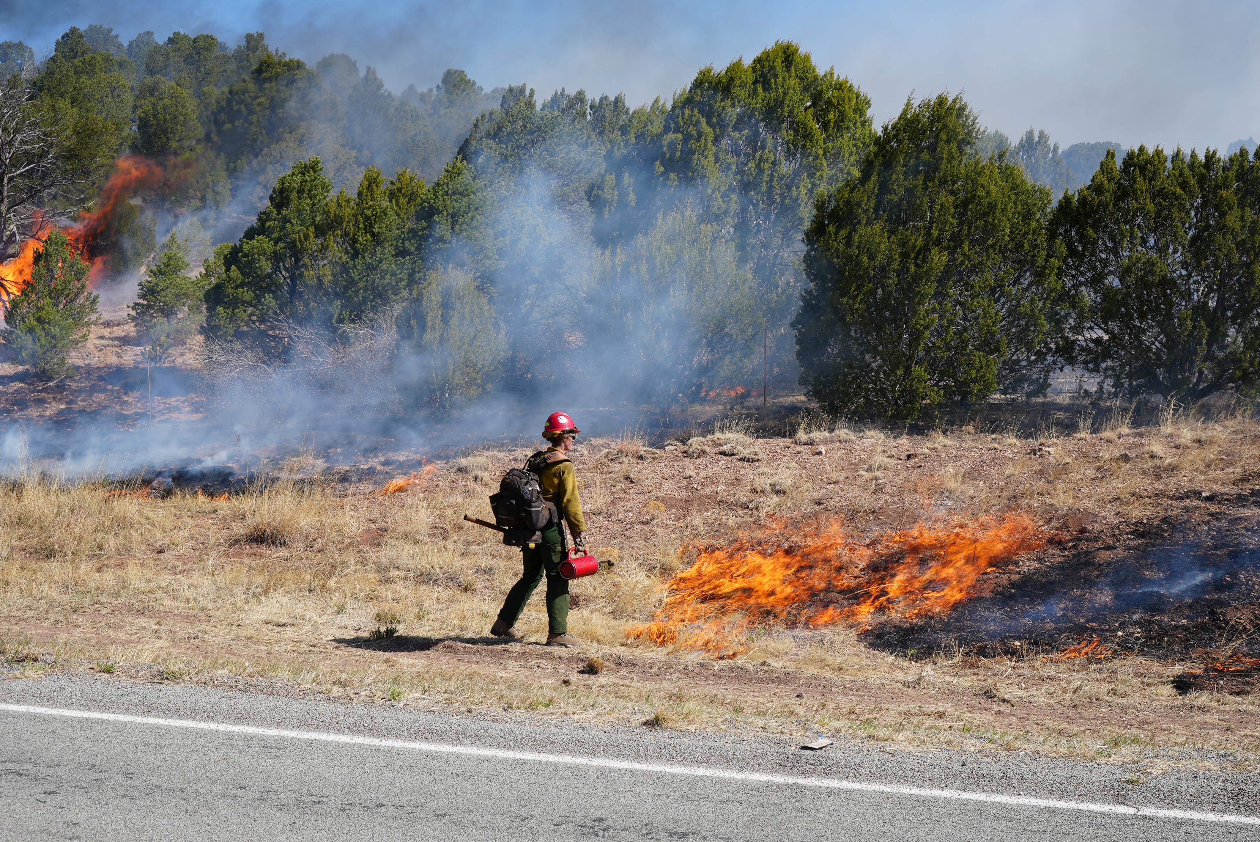 A firefighter with a drip torch is seen near burning grasses.