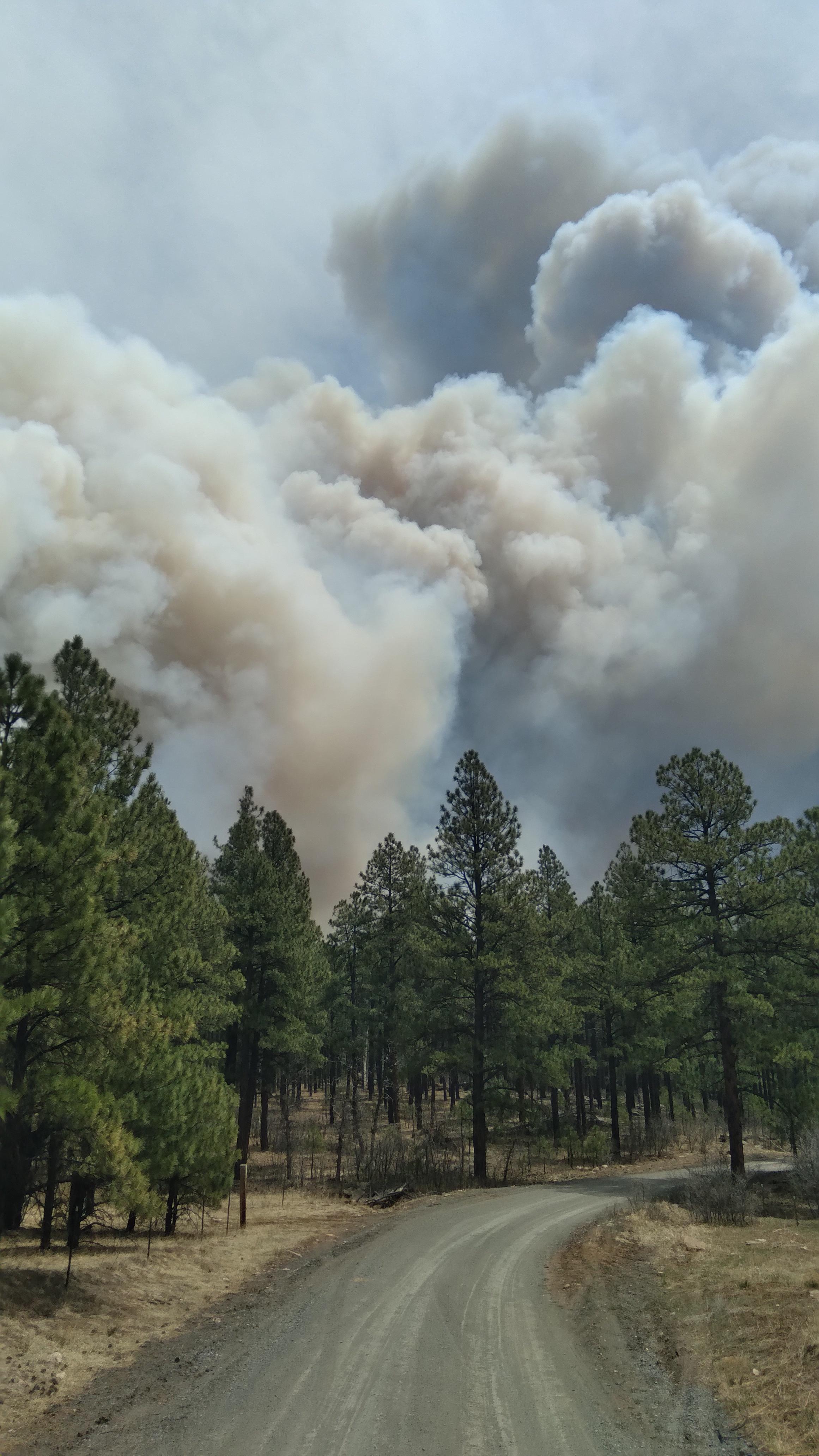 Fire activity in the Falls Creek area of San Miguel County, New Mexico on May 8.
