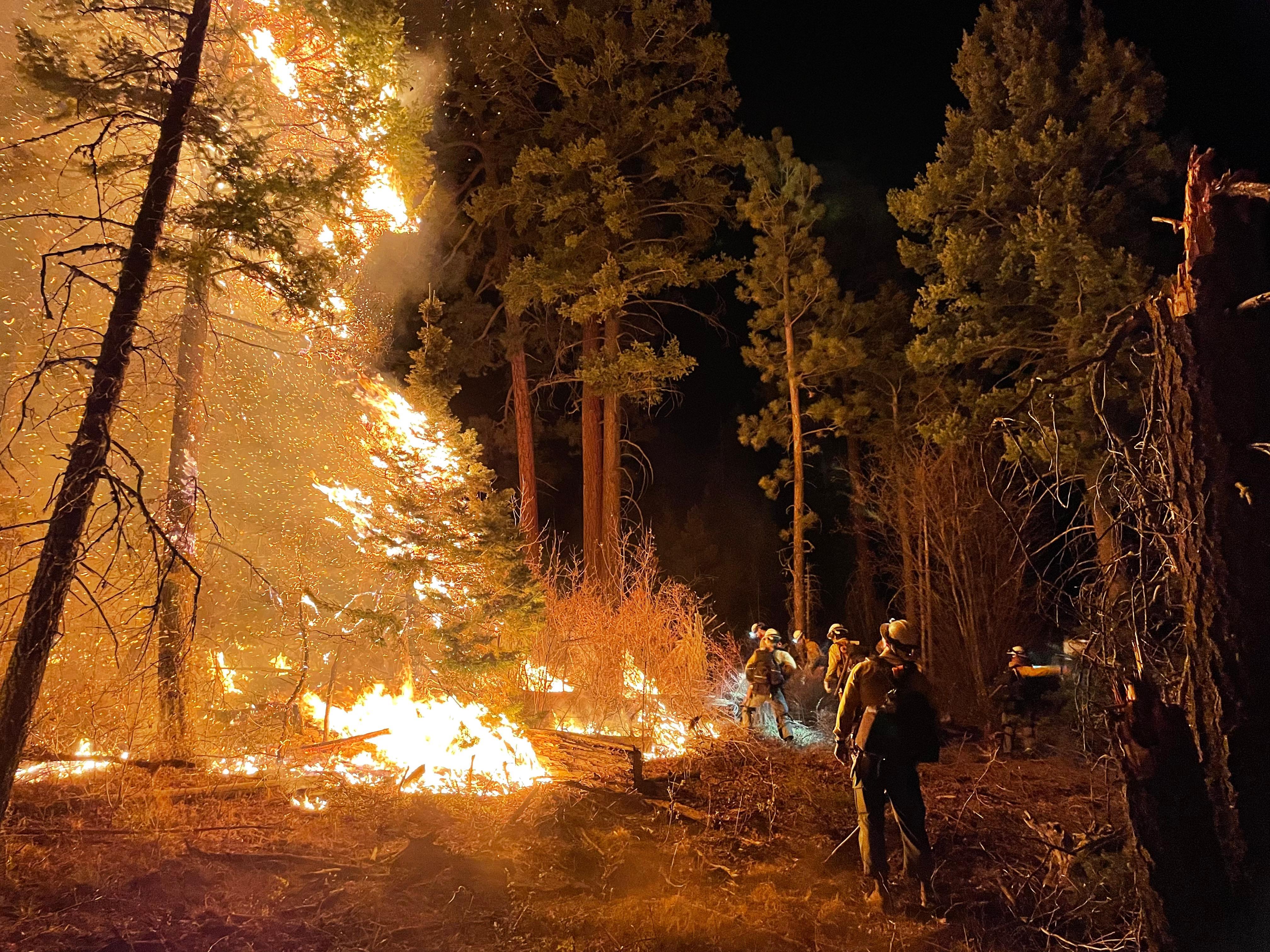 These photos are from a very busy Lone Peak Hotshot crew who've been working on the night shift.
