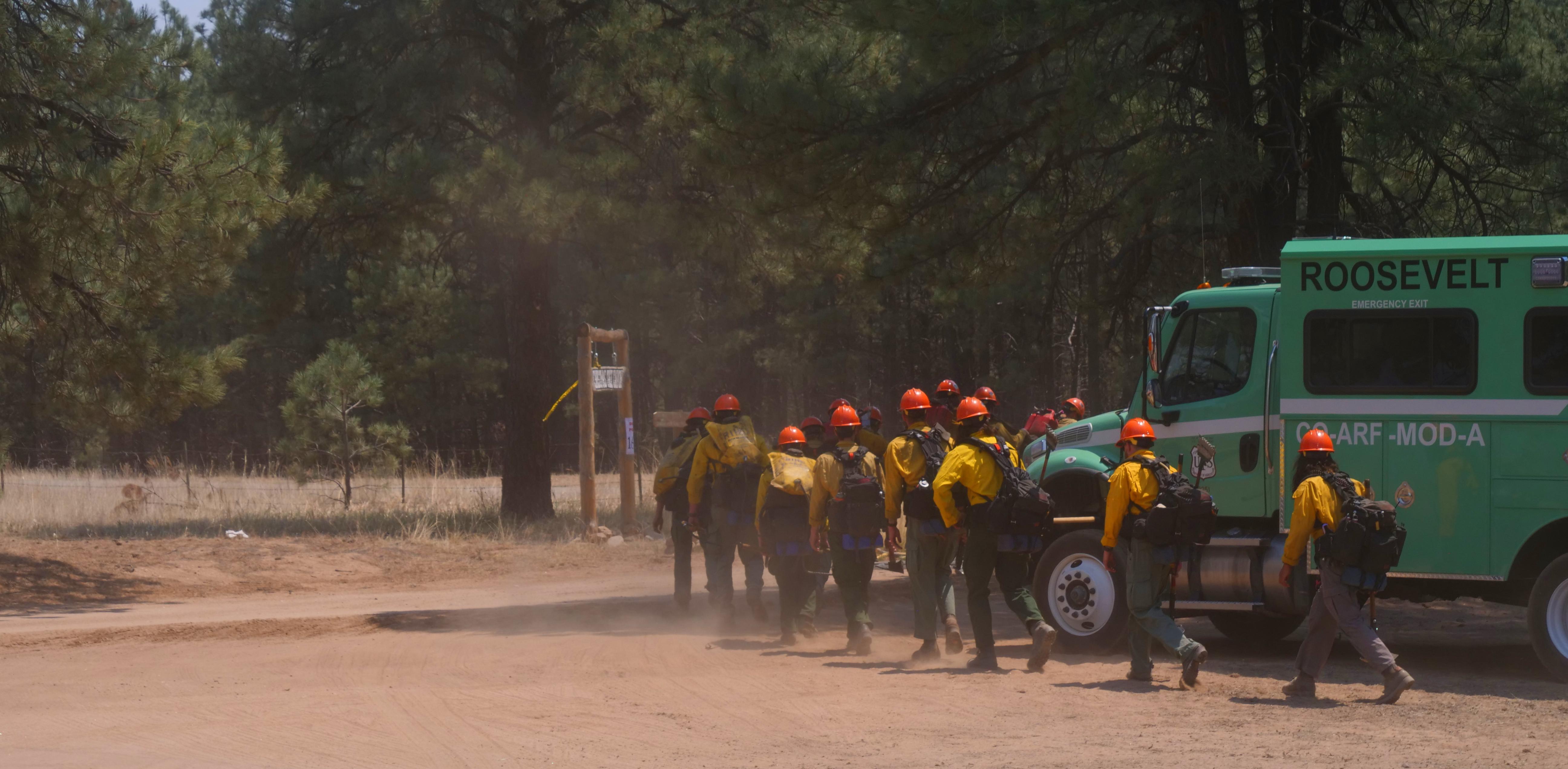 A group of firefighters in yellow shirts, orange helmets and other protective gear and tools in their hands, prepare to fight a forest fire.
