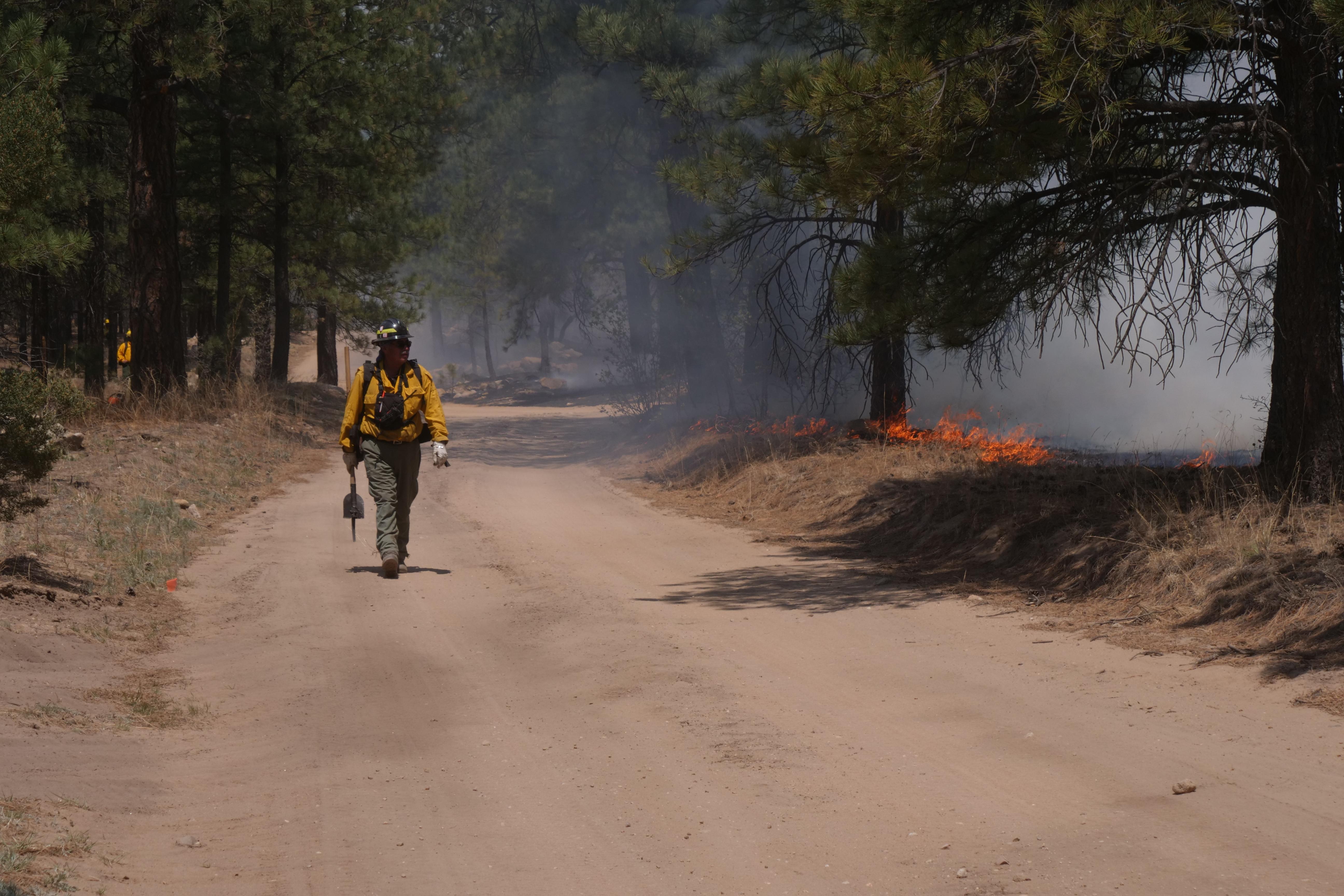 A firefighter patrols a dirt road as low fire edges along the forest floor.