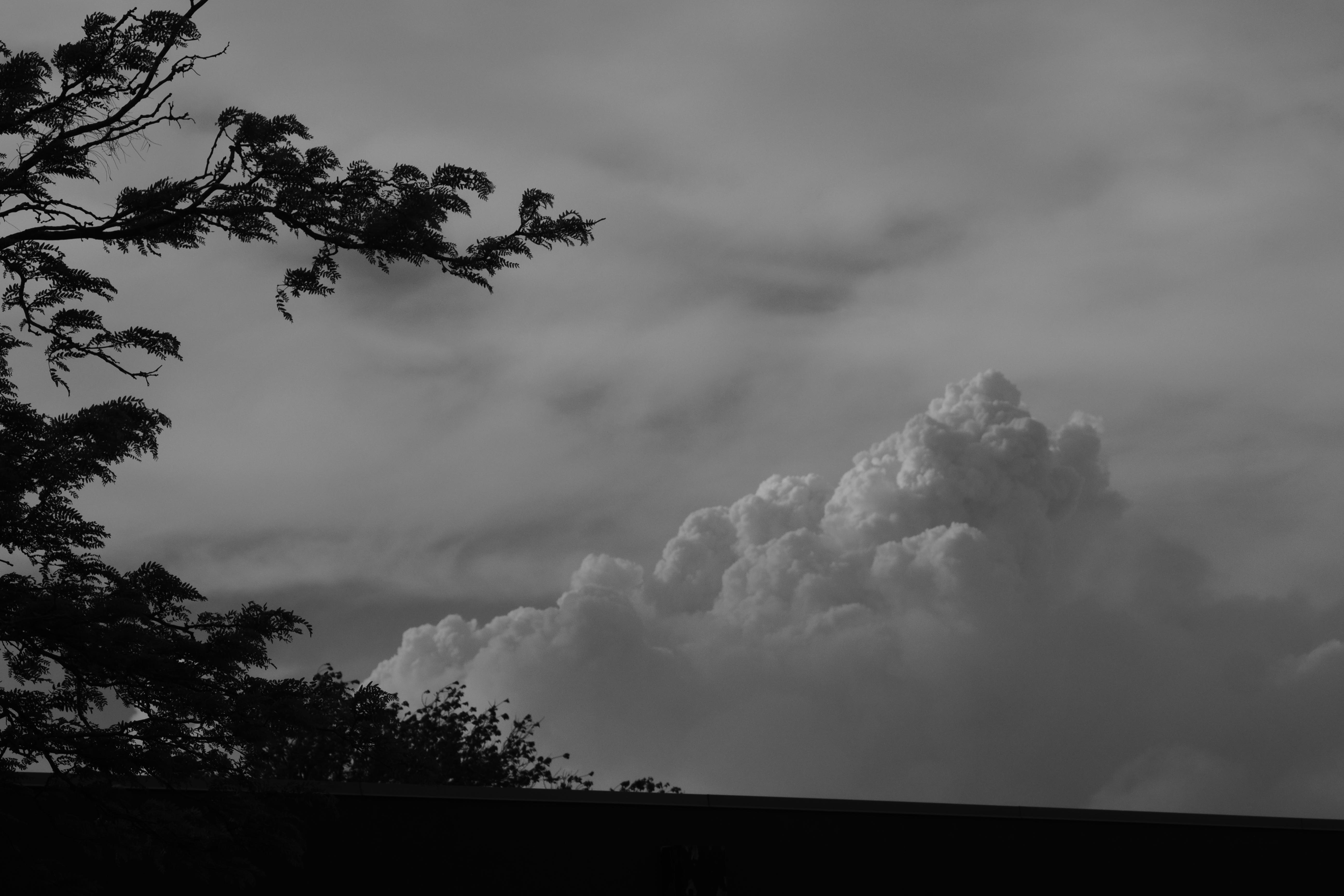 A massive pyrocumulous cloud is visible above the top of a building. The branches of a tree are visible at the left side of the picture.