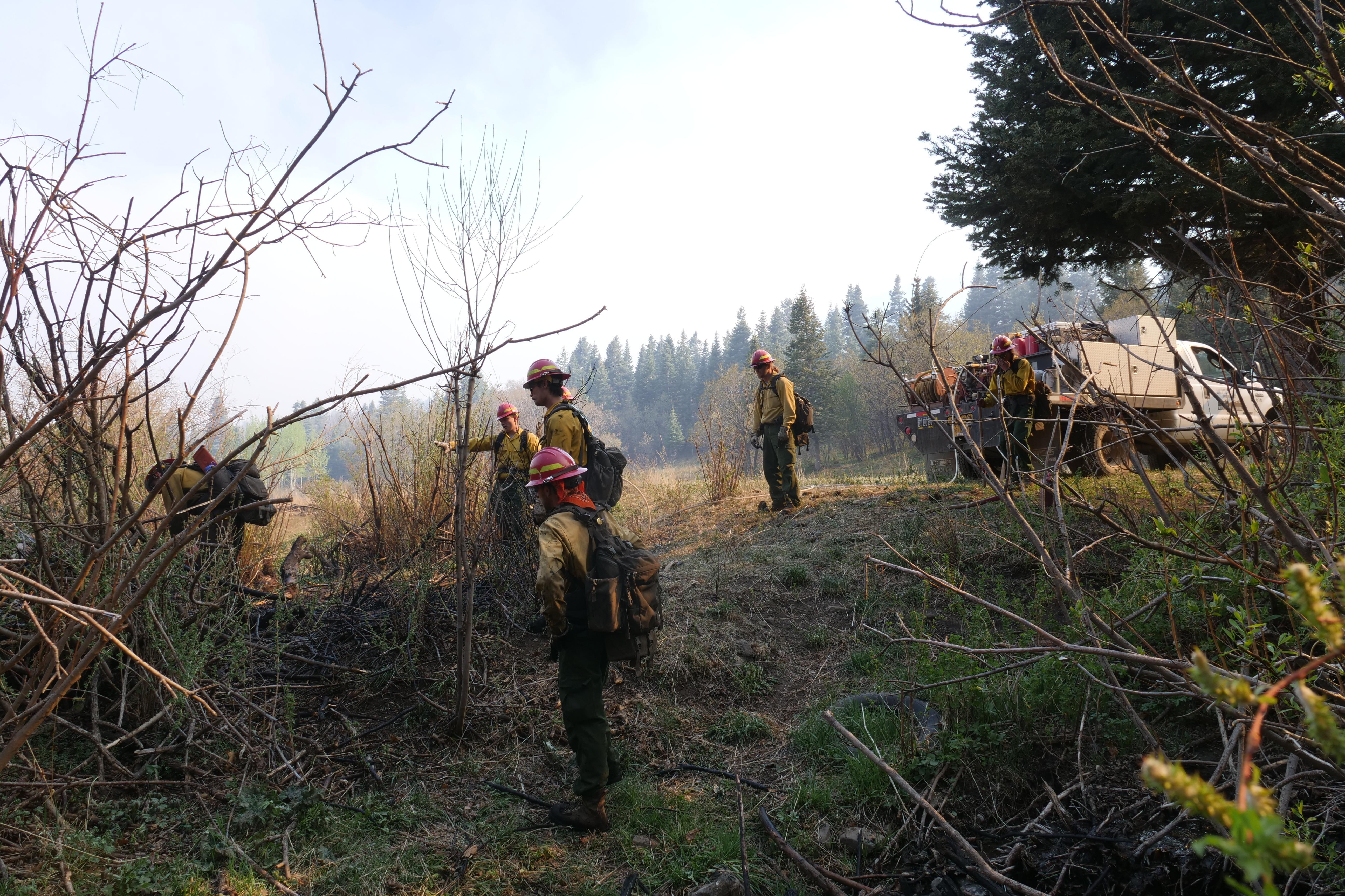 A team o firefighters work to clear think brush.