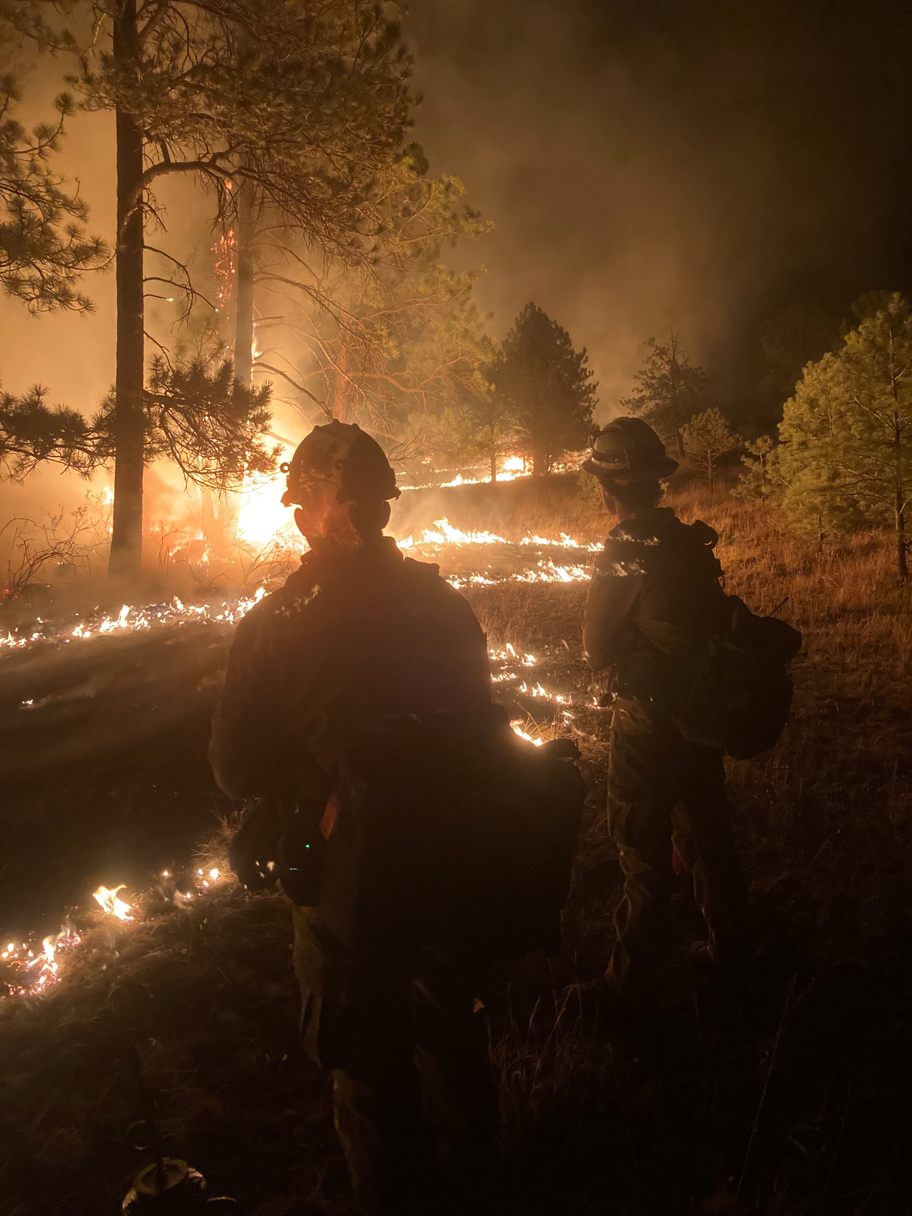 The photo shows a nighttime view of two firefighters stand with their backs to the camera. Flames show that wind is coming from the right. Flames creep in the grass and lick up the trunks of trees. Smoke increases in density toward frame left.