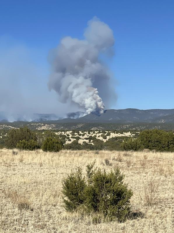 smoke column rises from forested mountain