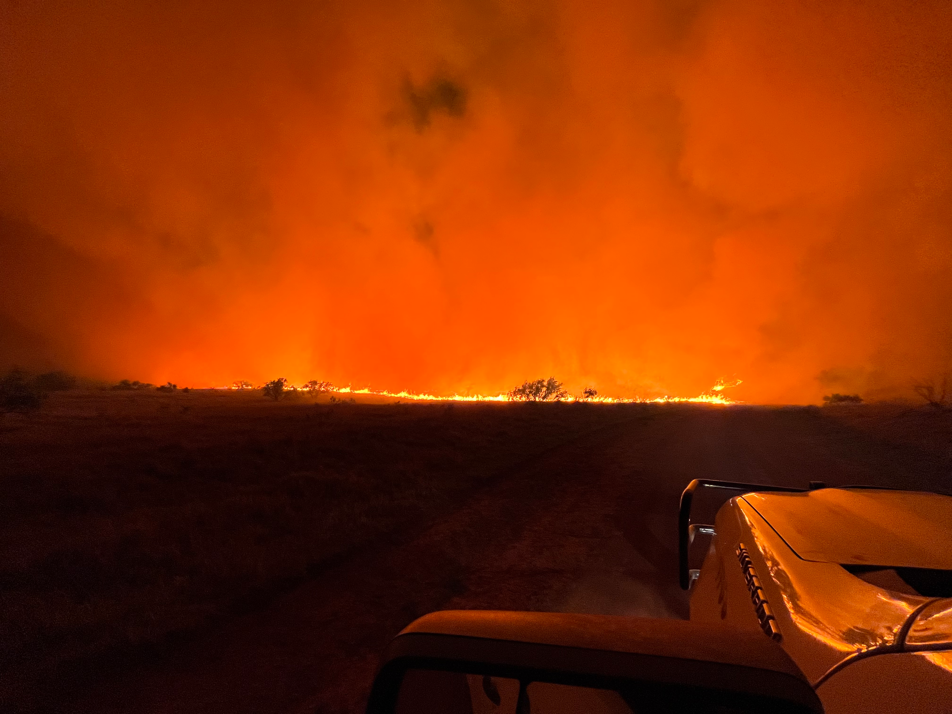 Picture shows the pasture burning fast during the night wind shift