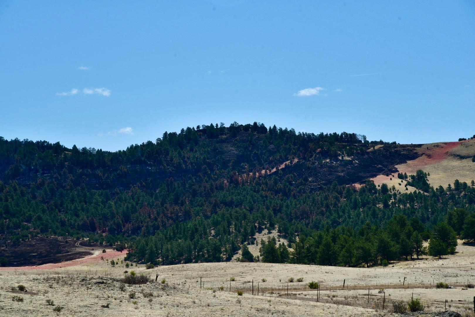 Landscape view of Booger Red Hill with a line of red retardant.