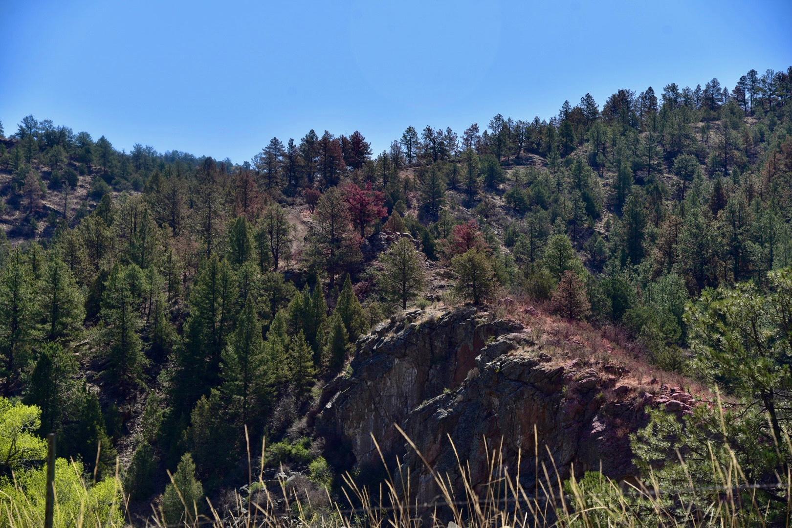 Landscape view of cliff with retardant.