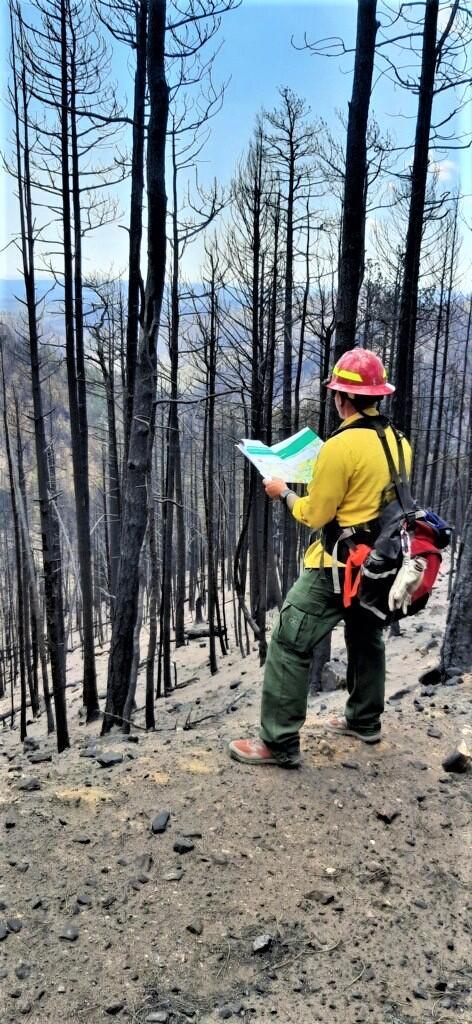 Photo showing NM EMNRD Forester Jeremy Klass Assessing Soil Burn Severity of Gallinas Watershed within Hermits Peak Burned Area