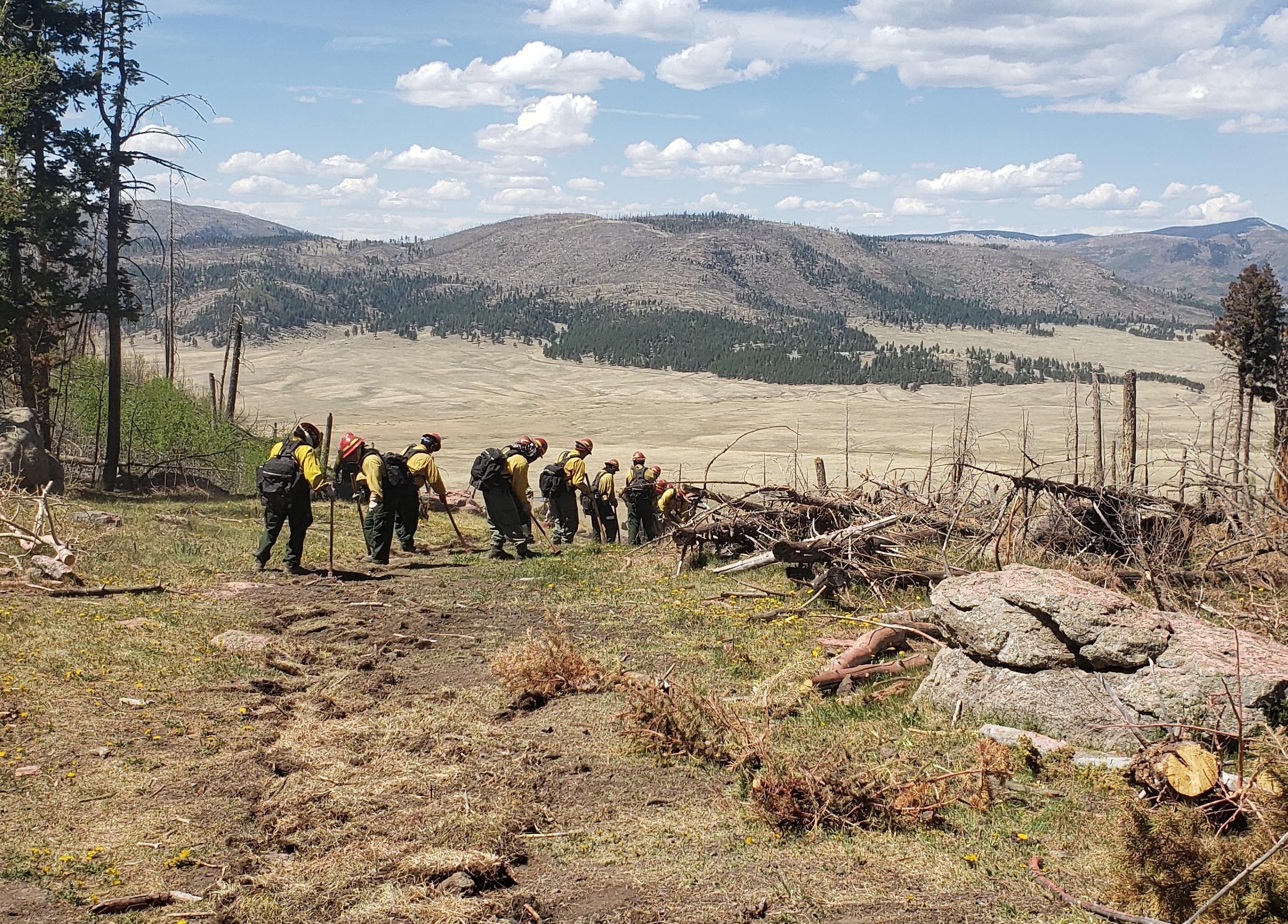 Fire crew working on repair of the fireline.