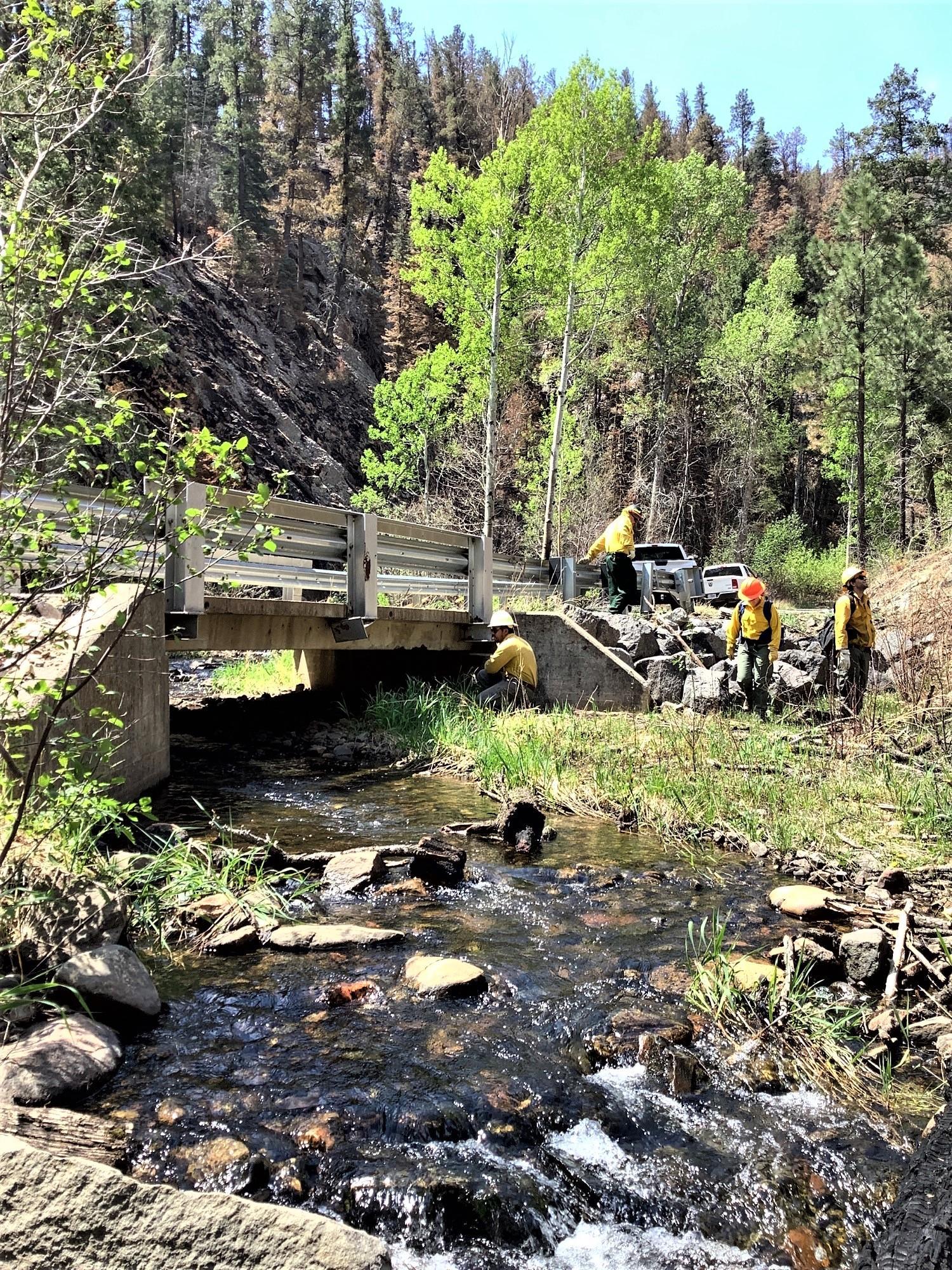 Image showing BAER Specialists assessing culvert off of  Forest Service NFSR 156 Road in Hermits Peak+Calf Canyon Burned Area