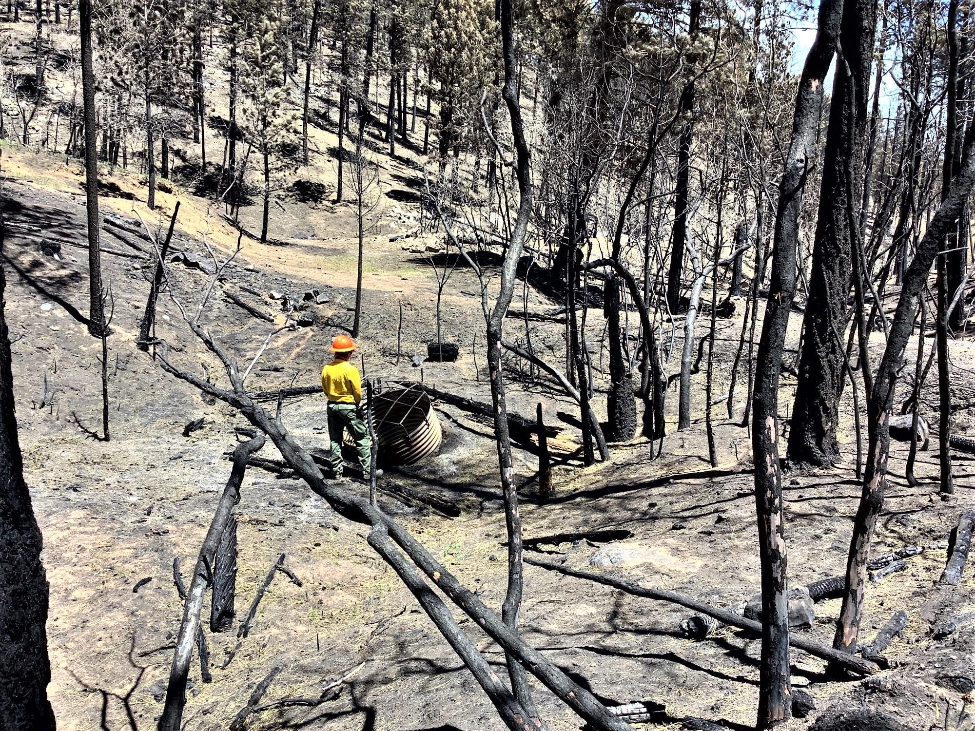 Image showing BAER specialists Assessing Forest Service NFSR 263 Road in Gallinas Canyon Burned Area