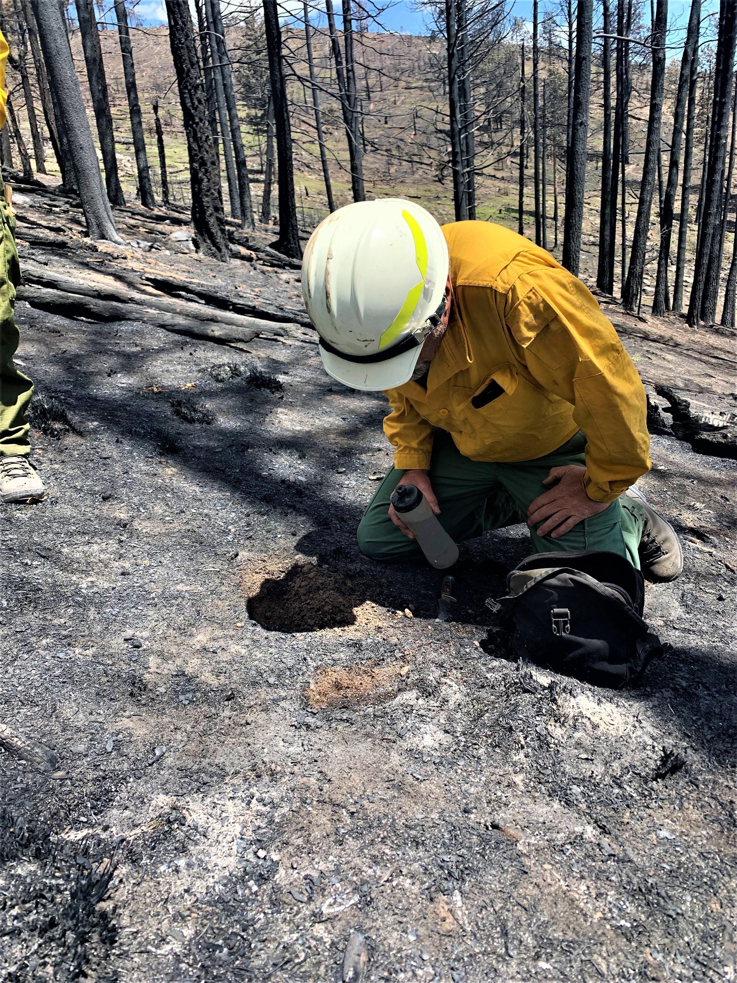 Image showing BAER Soil Scientist Tom Giambra testing hydrophobicity out near Forest Service Road FSR270 within the Cerro Pelado Burned Area