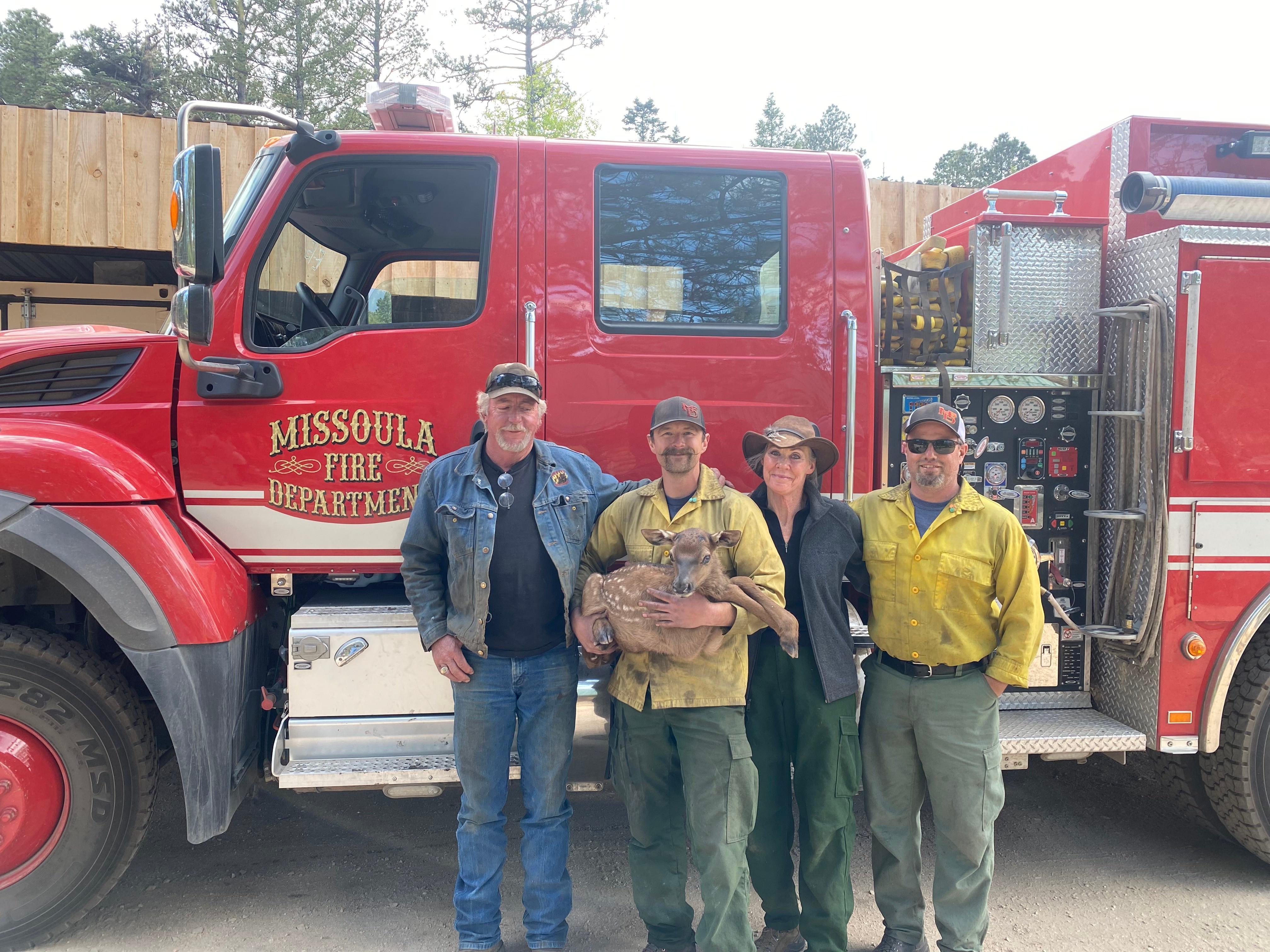 A firefighter holds an elk calf