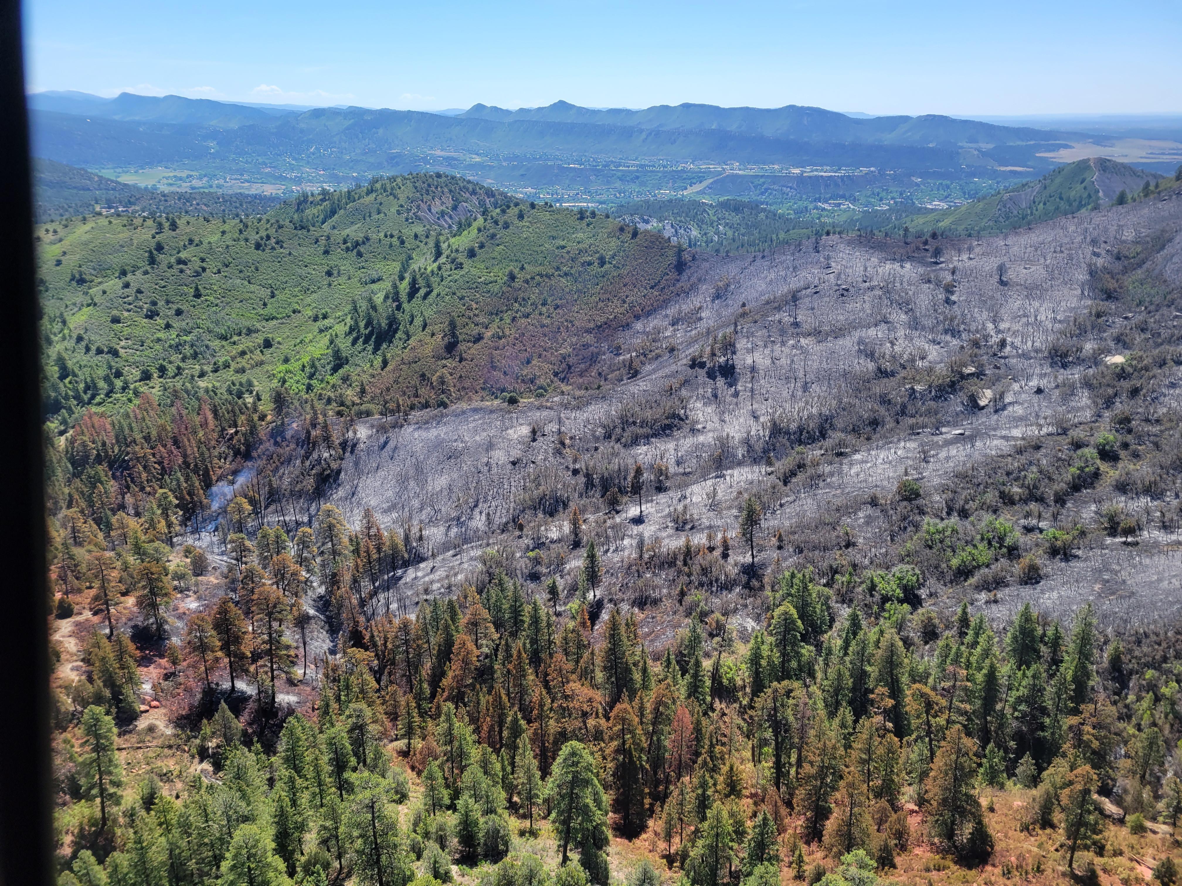 A burned area is seen from a helicopter.