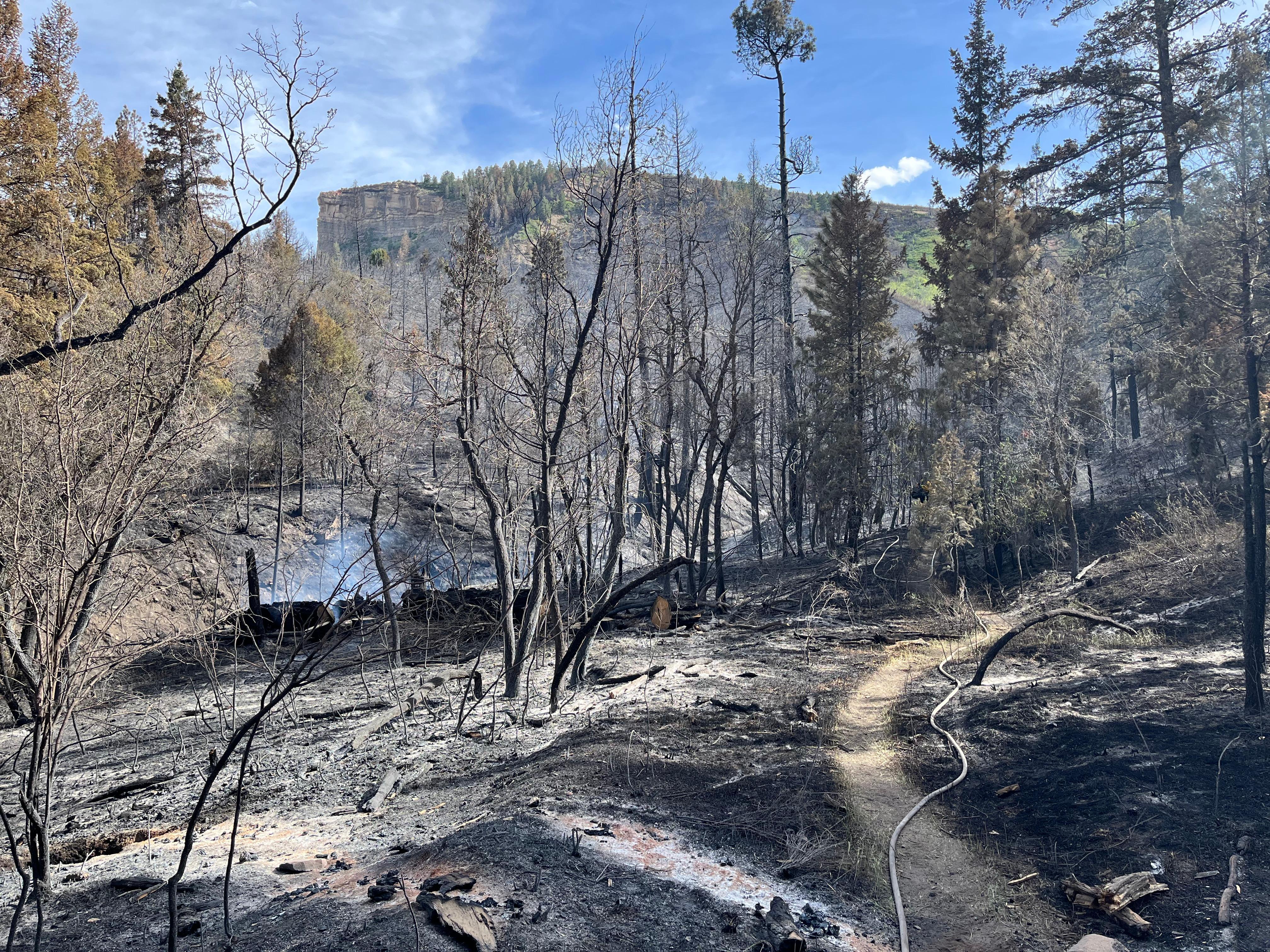 Cosjd Perins Peak Fire Incident Photographs | InciWeb