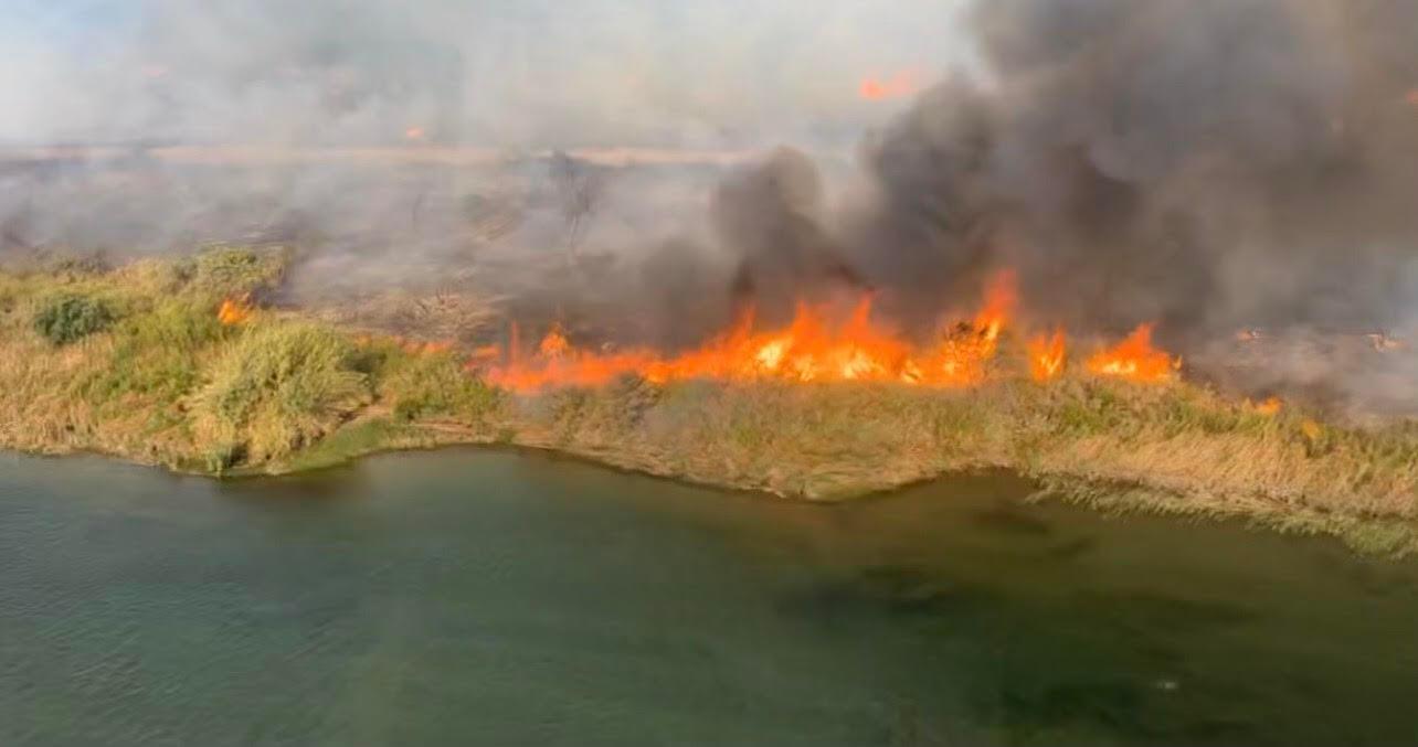 flames burn salt cedar along river bank
