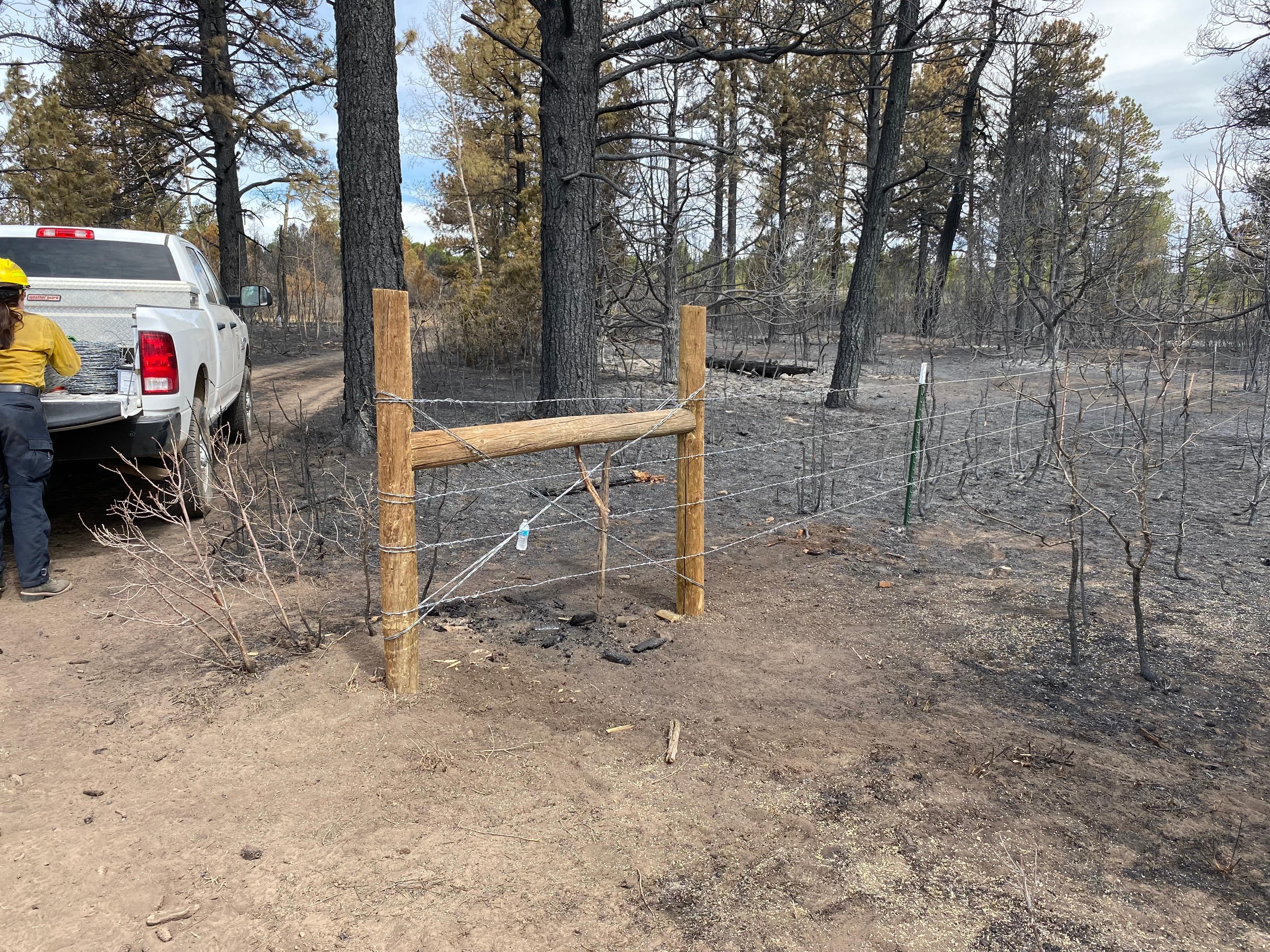 Repaired fence line
