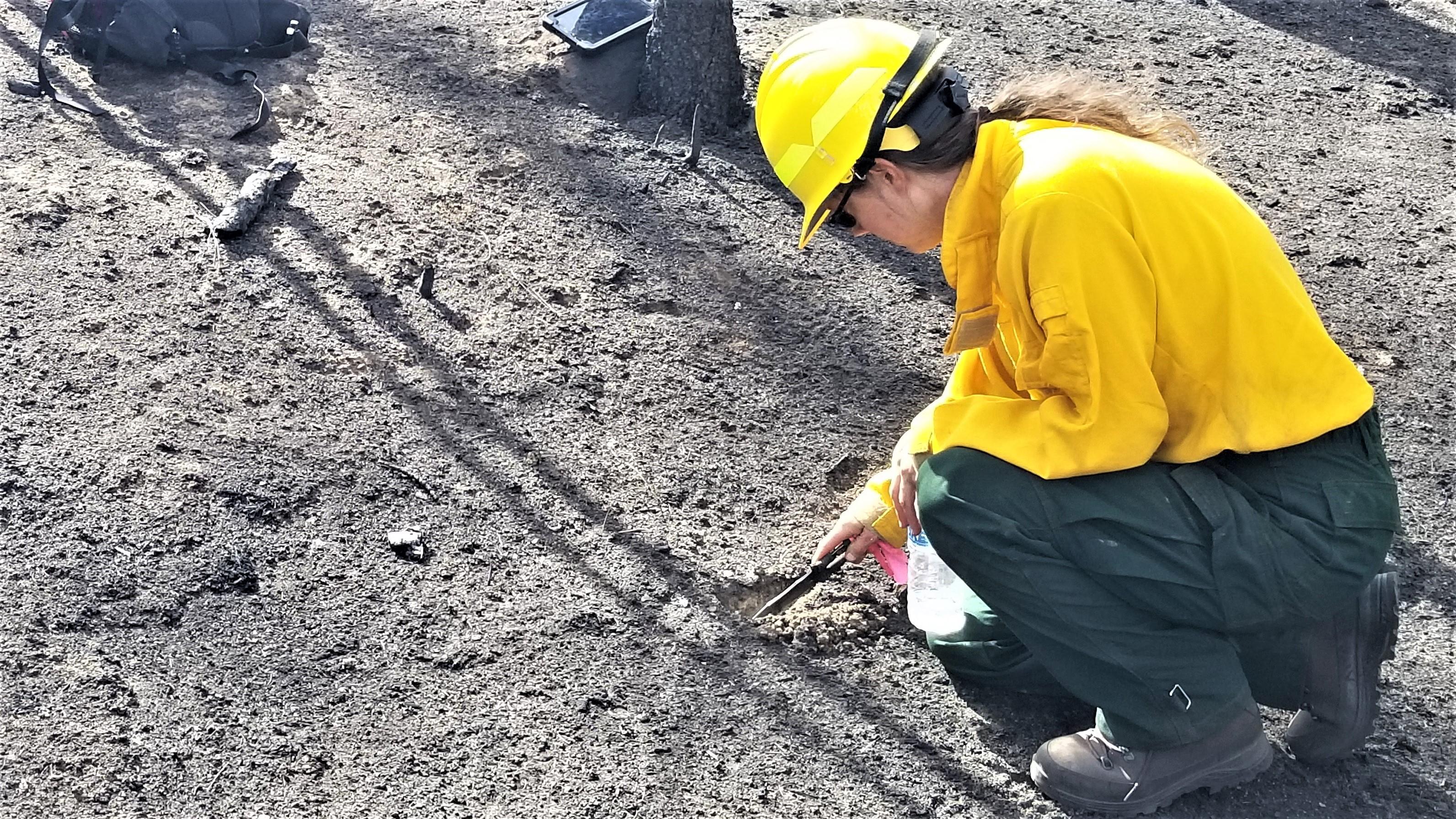 Image showing BAER Soil Scientist Susie Roe assessing soil hydrophobicity and changes to soil structure in a high severity burned area of the Hermits Peak Fire