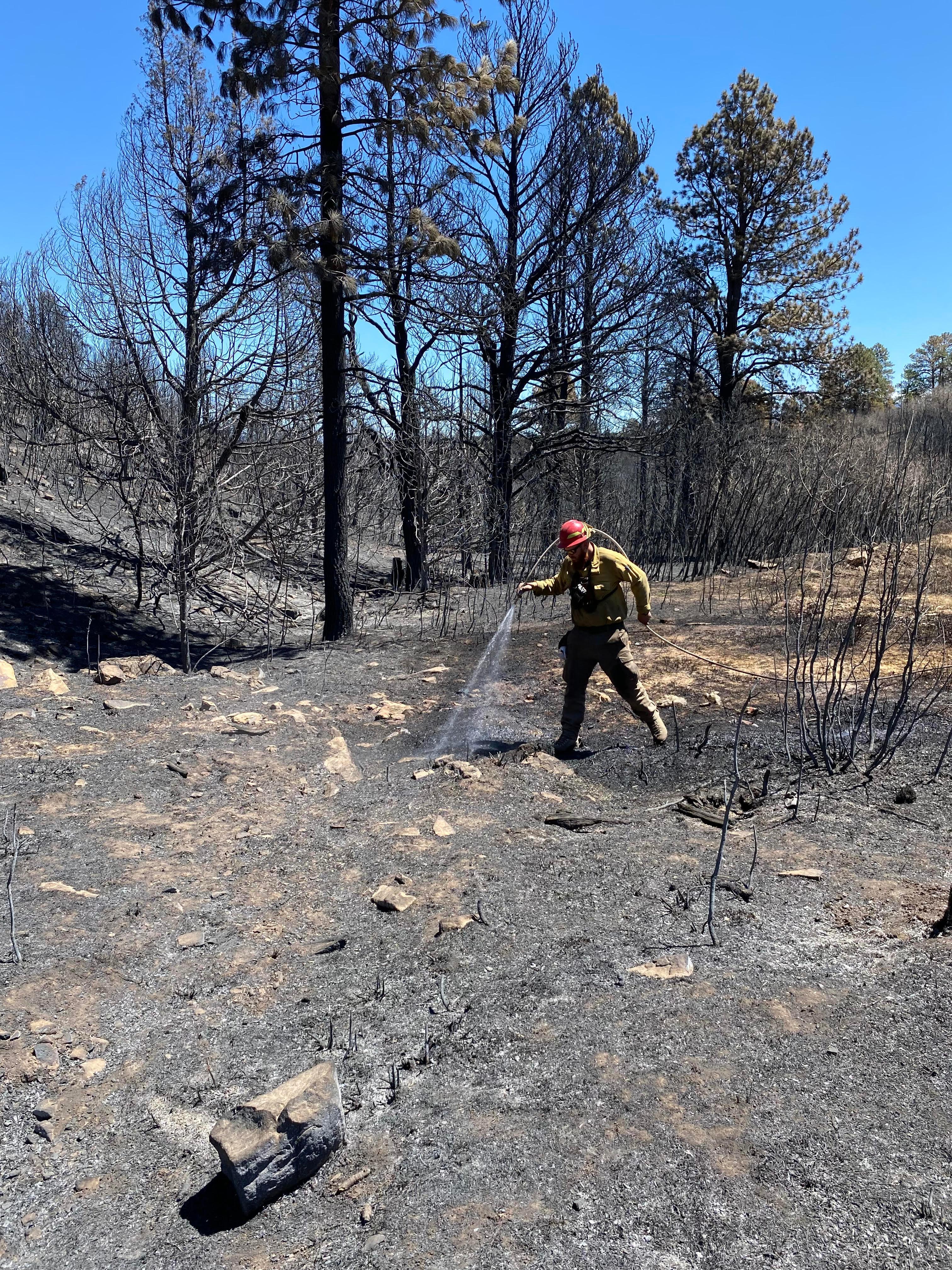 Firefighters reseed the burn area