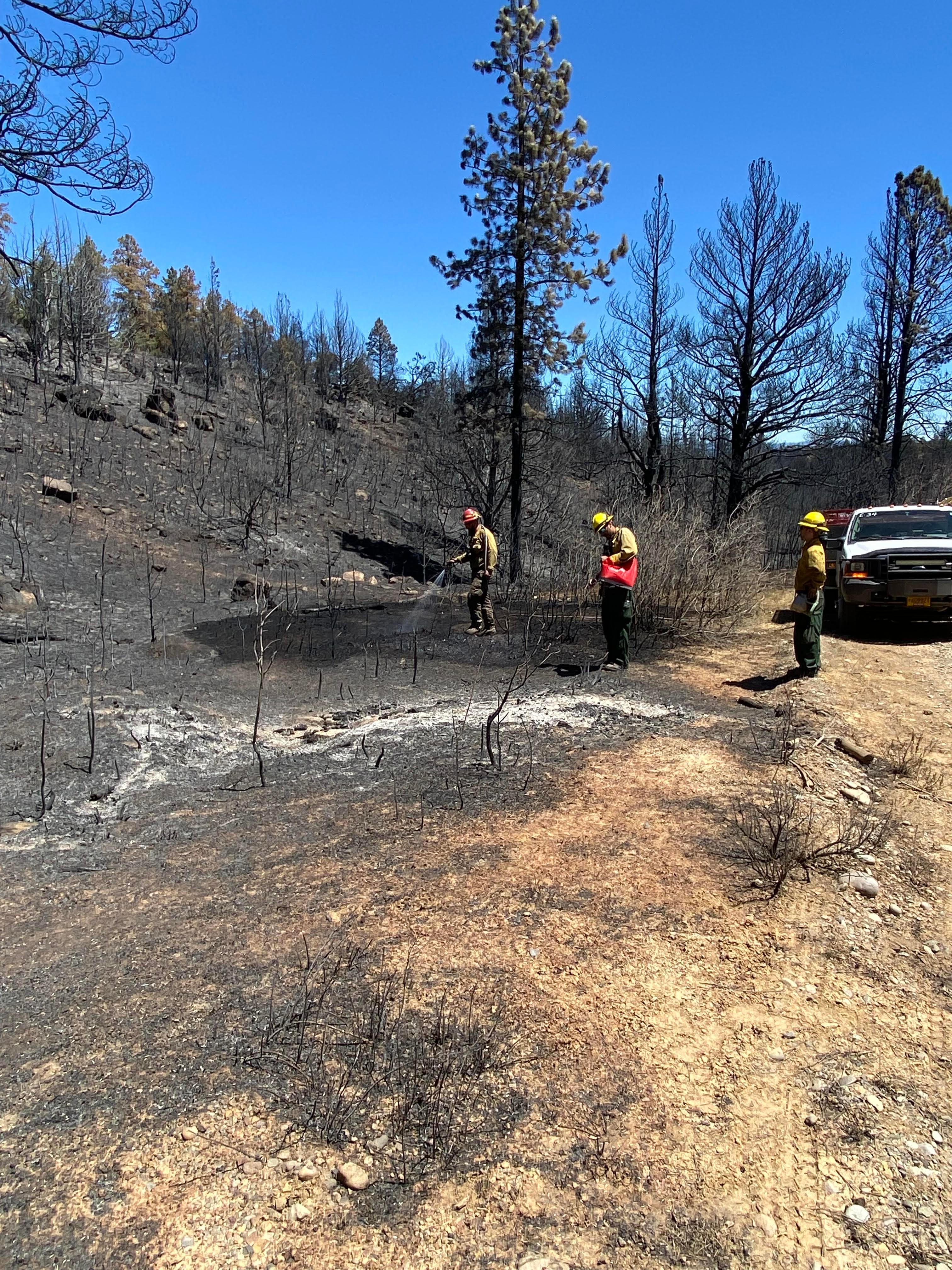 Fire Crews spread native seed and water burn area