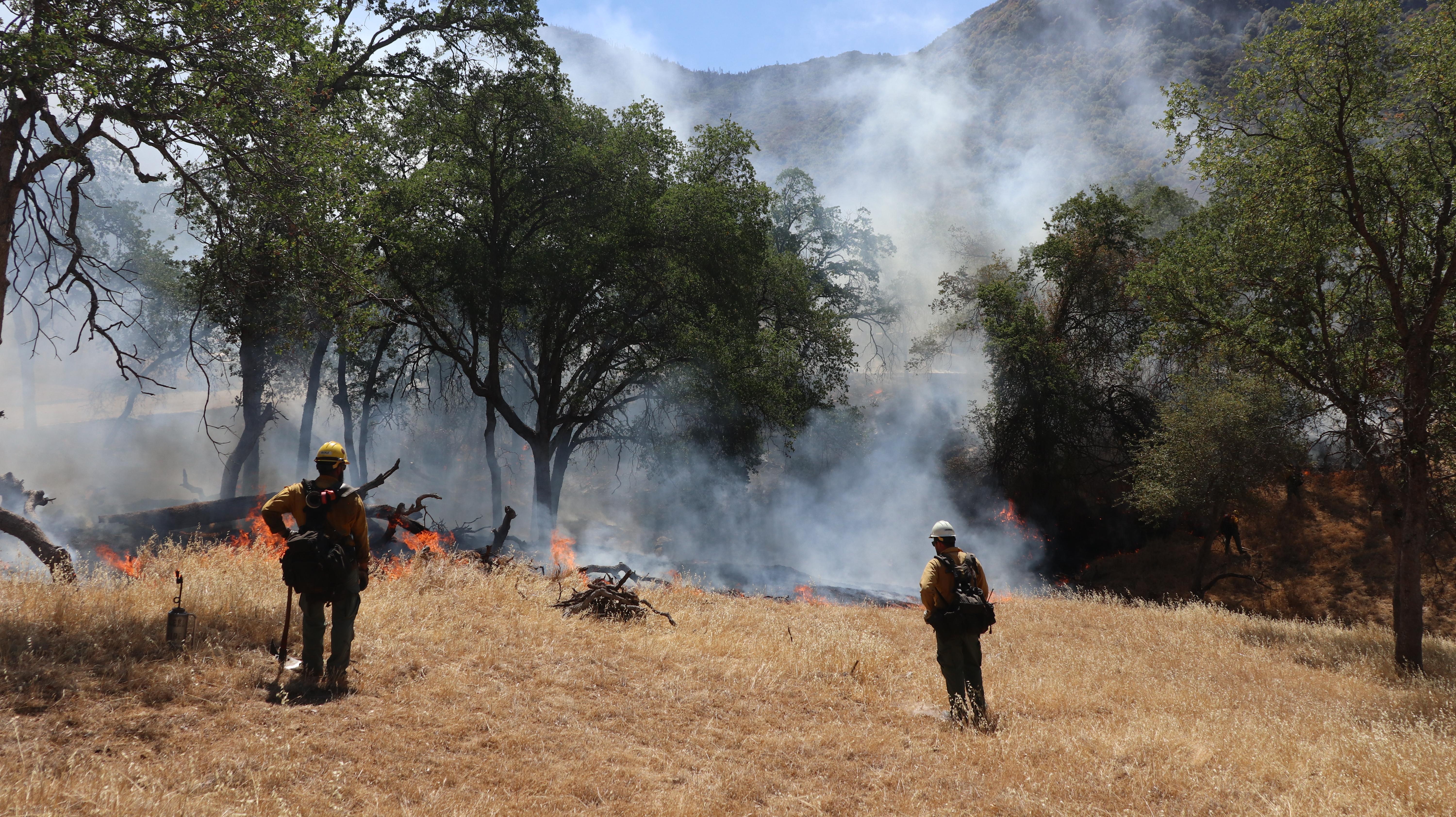 Two firefighters monitor the prescribed burn from a distance.