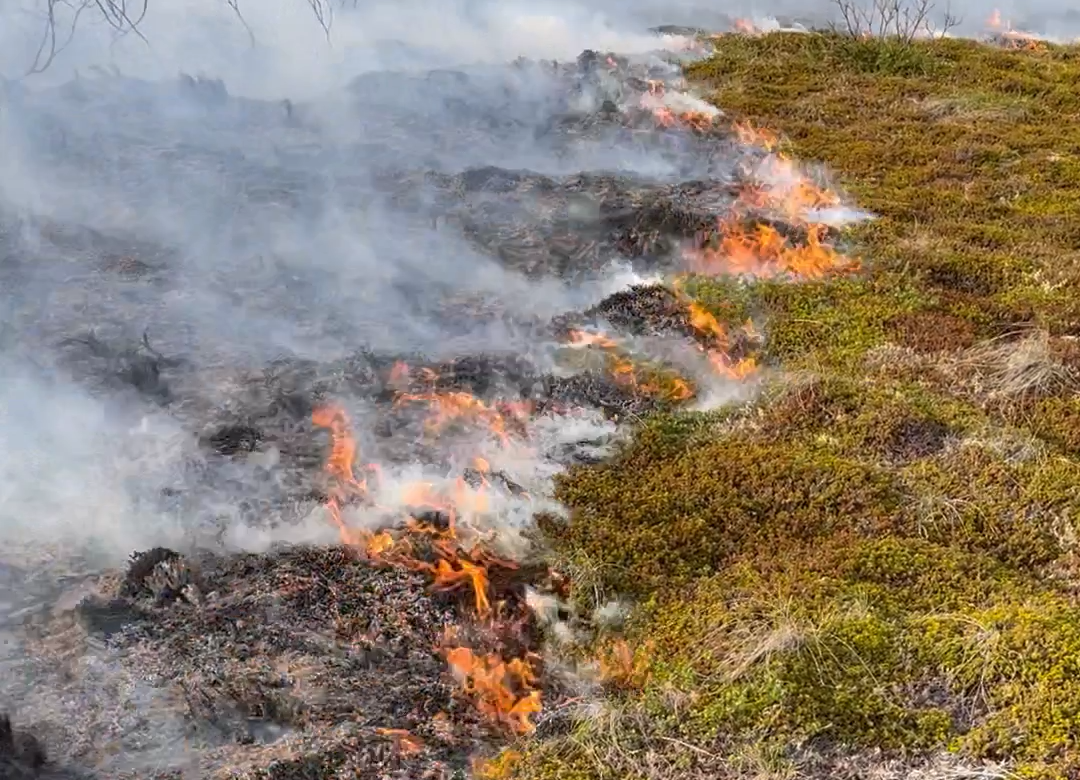 Closeup of fire burning in tundra with smoke rising