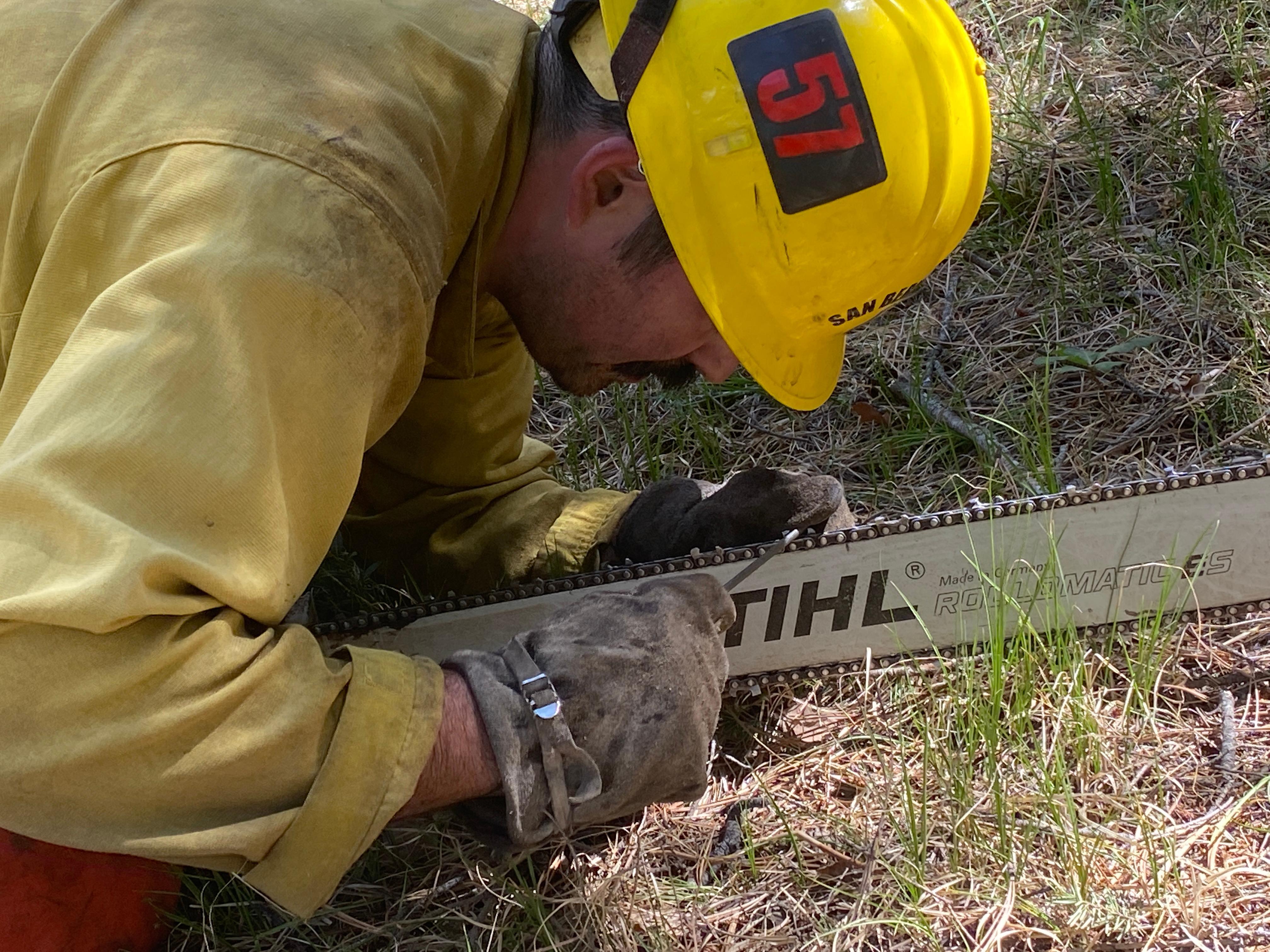 Image of a firefighter with yellow shirt, yellow helmet, and gloves kneels over a chainsaw. Firefighter uses a long metal tool to sharpen the chain on chainsaw.