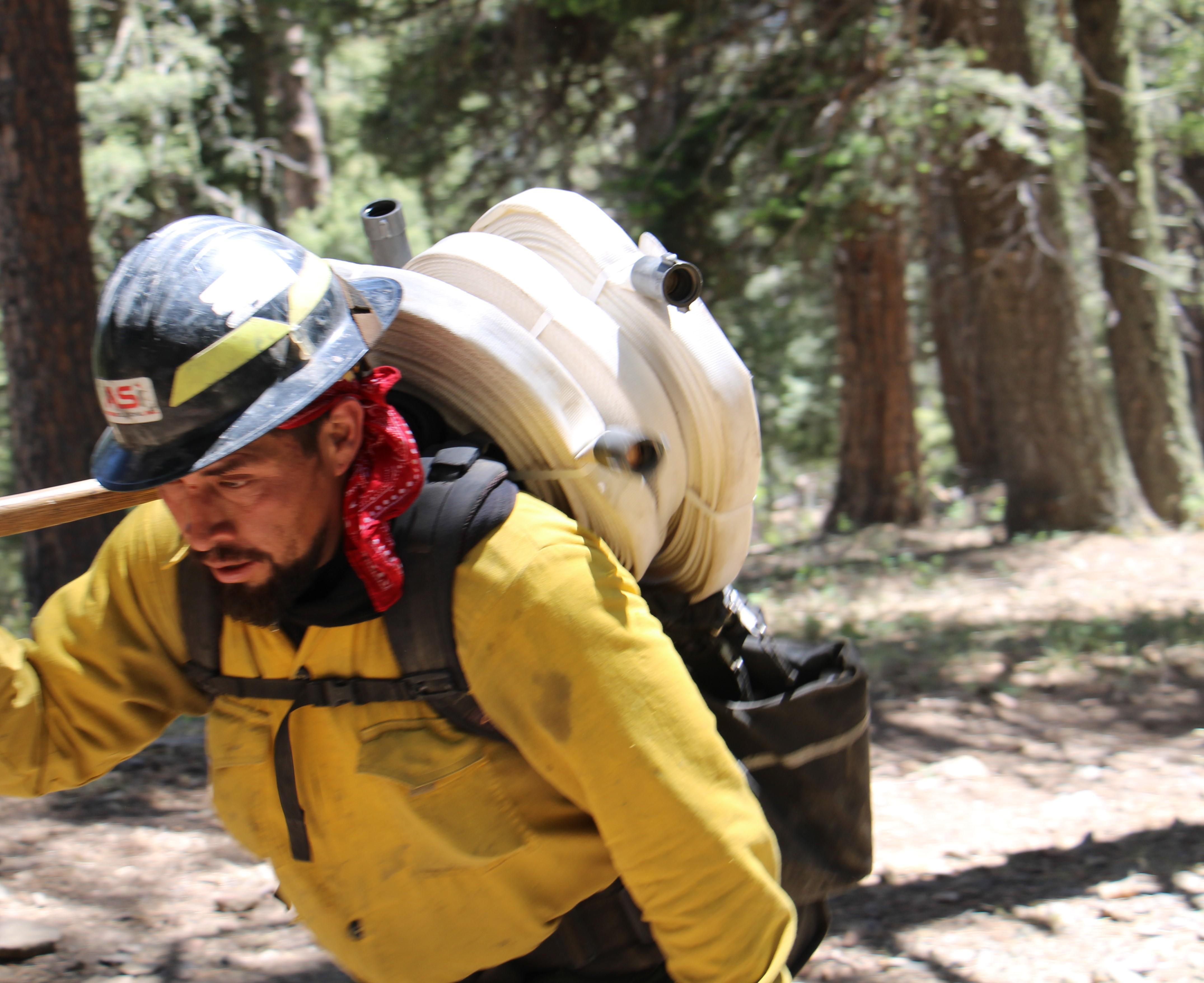 a firefighter in a yellow shirt carries a roll of hose on his shoulder