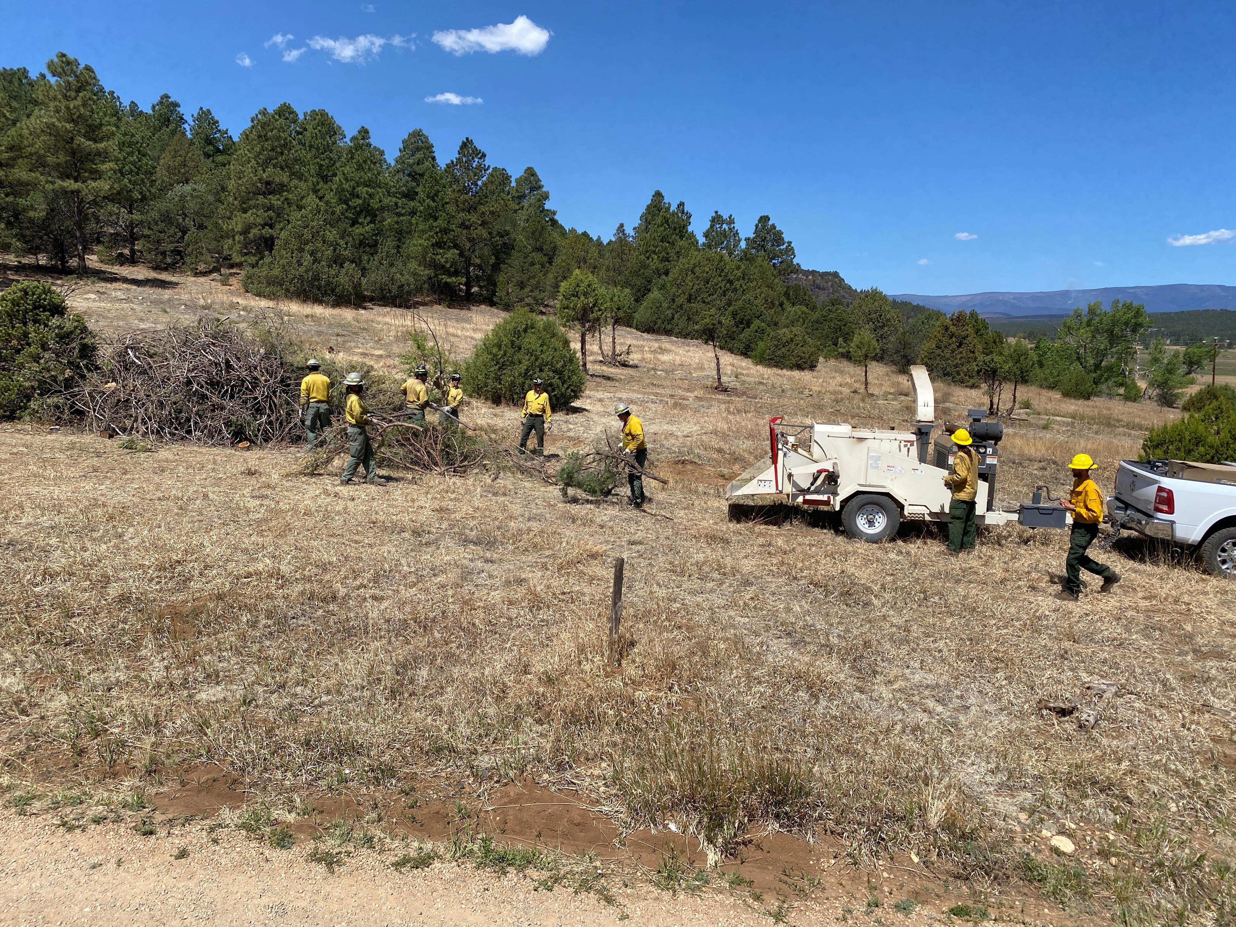 Open meadow with trees in the distance.  Multiple firefighers with green pants, yellow shirts and hardhats placing tree branches into chipper pulled behind a vehicle.