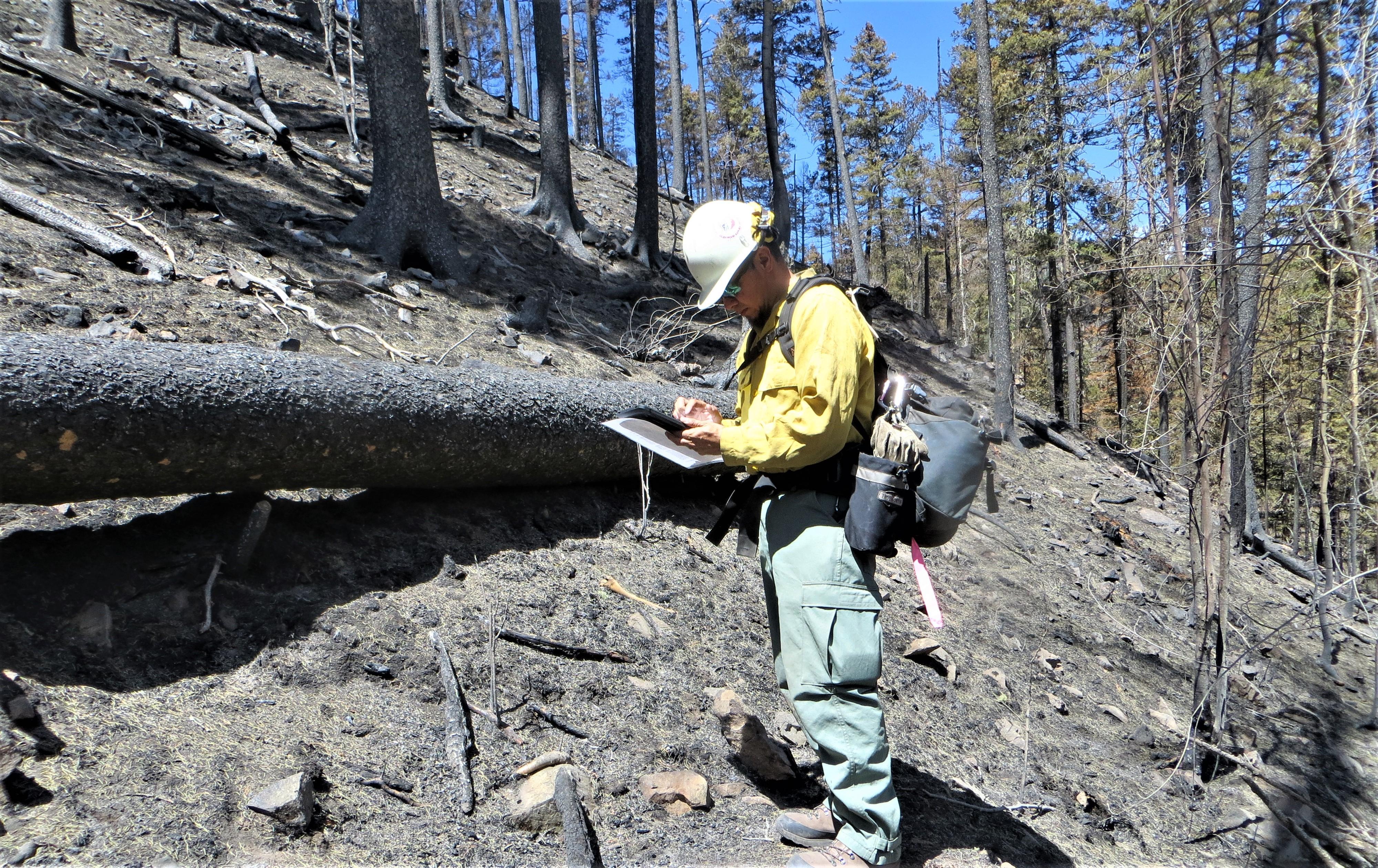 Image showing State of NM EMNRD Employee Jeremy Klass assists the BAER team with burned area data collection