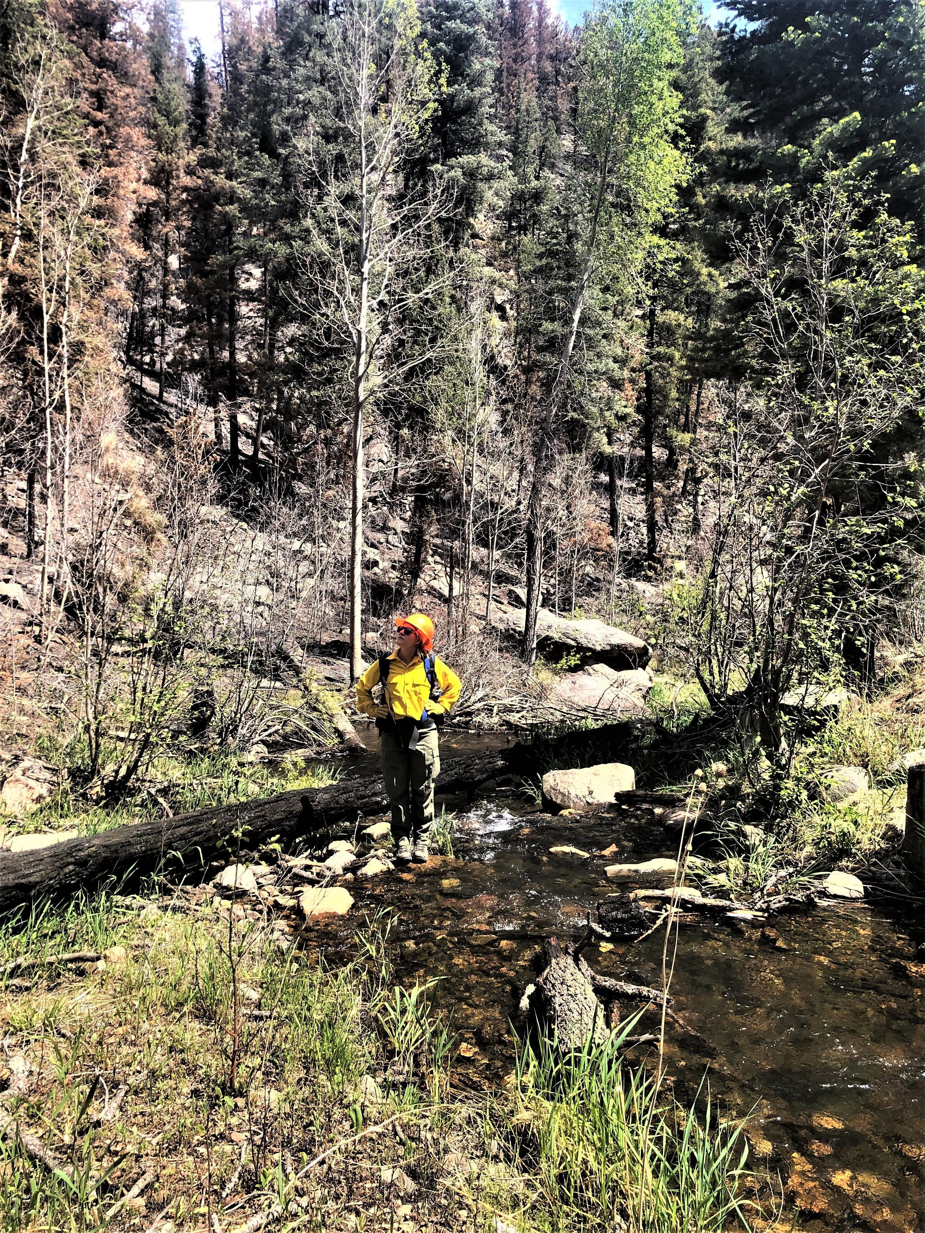 Image showing BAER Trails & Recreation Specialist Sarah Smith is working with the BAER engineering and hydrology specialists to assess bridges within the Gallinas headwaters watershed