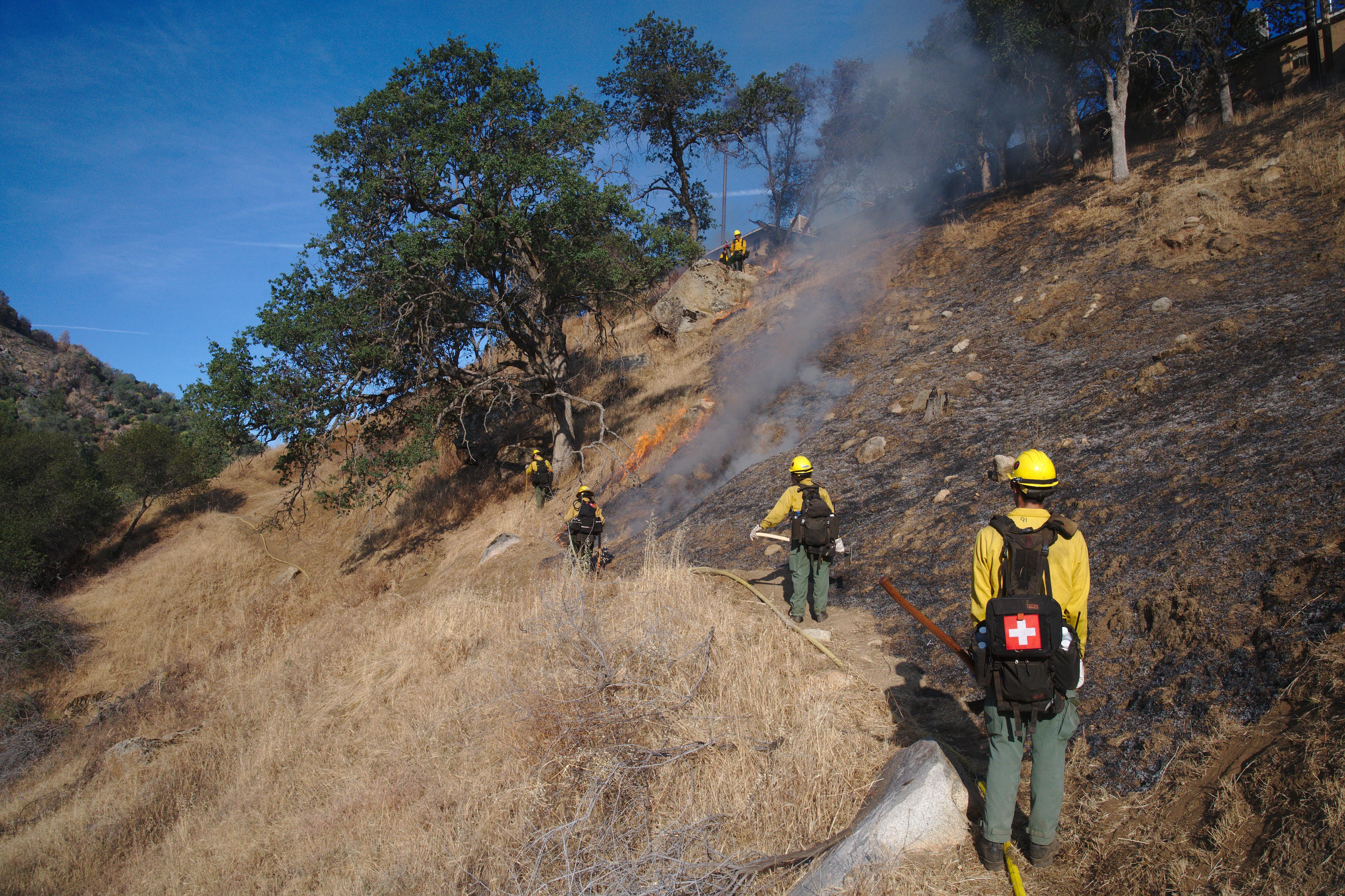 Multiple firefighters use a drip torch on a steep slope.