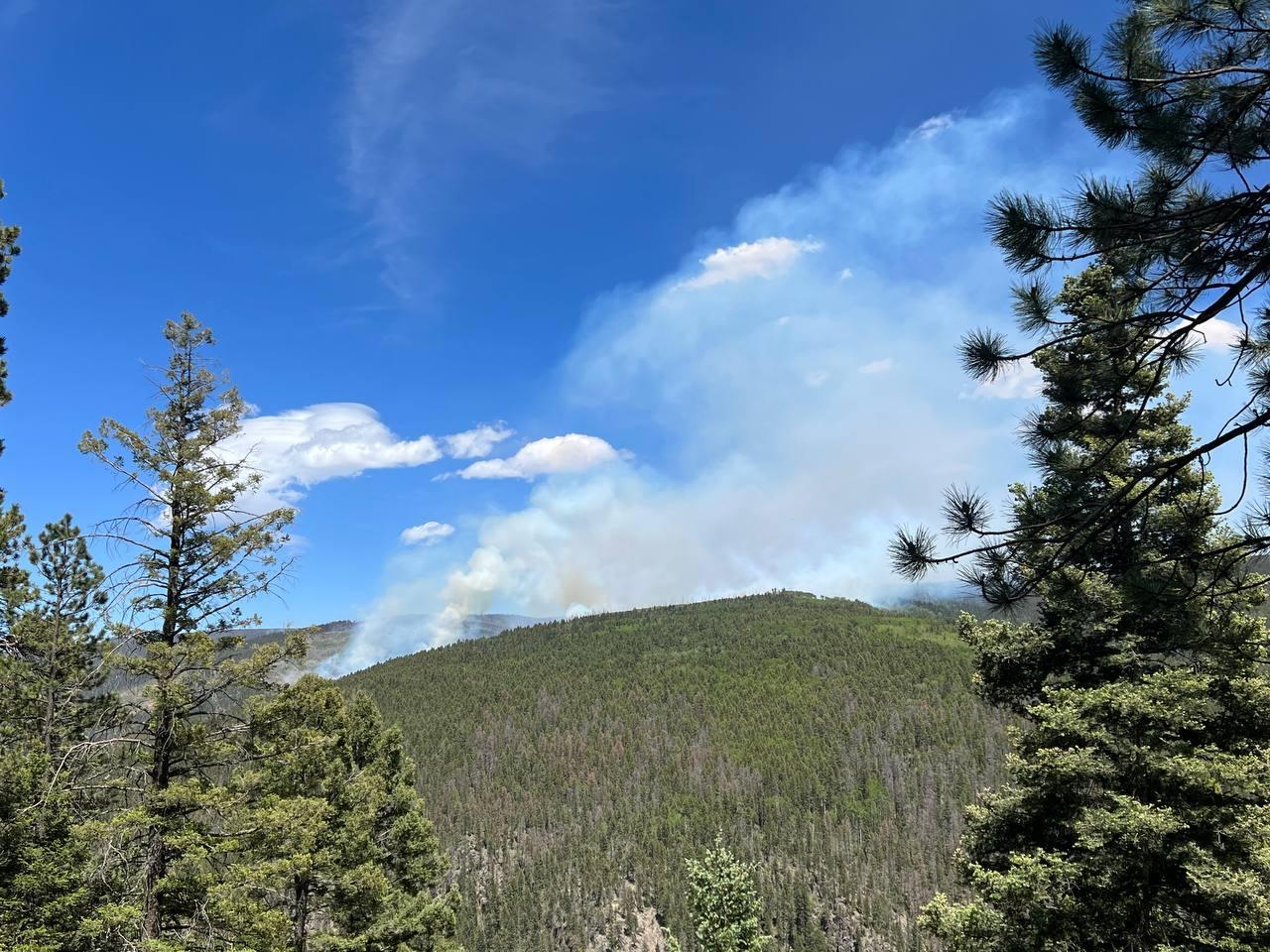 Large landscape covered in trees along mountain side.  Smoke rises from behind ridgeline against blue sky.