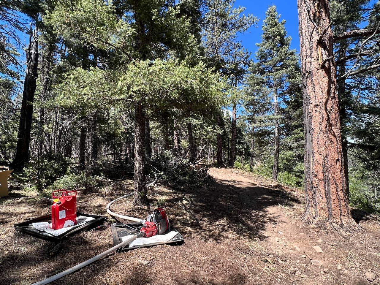 Red gas can, red and black pump hooked to white hose running along handline through a forested area.