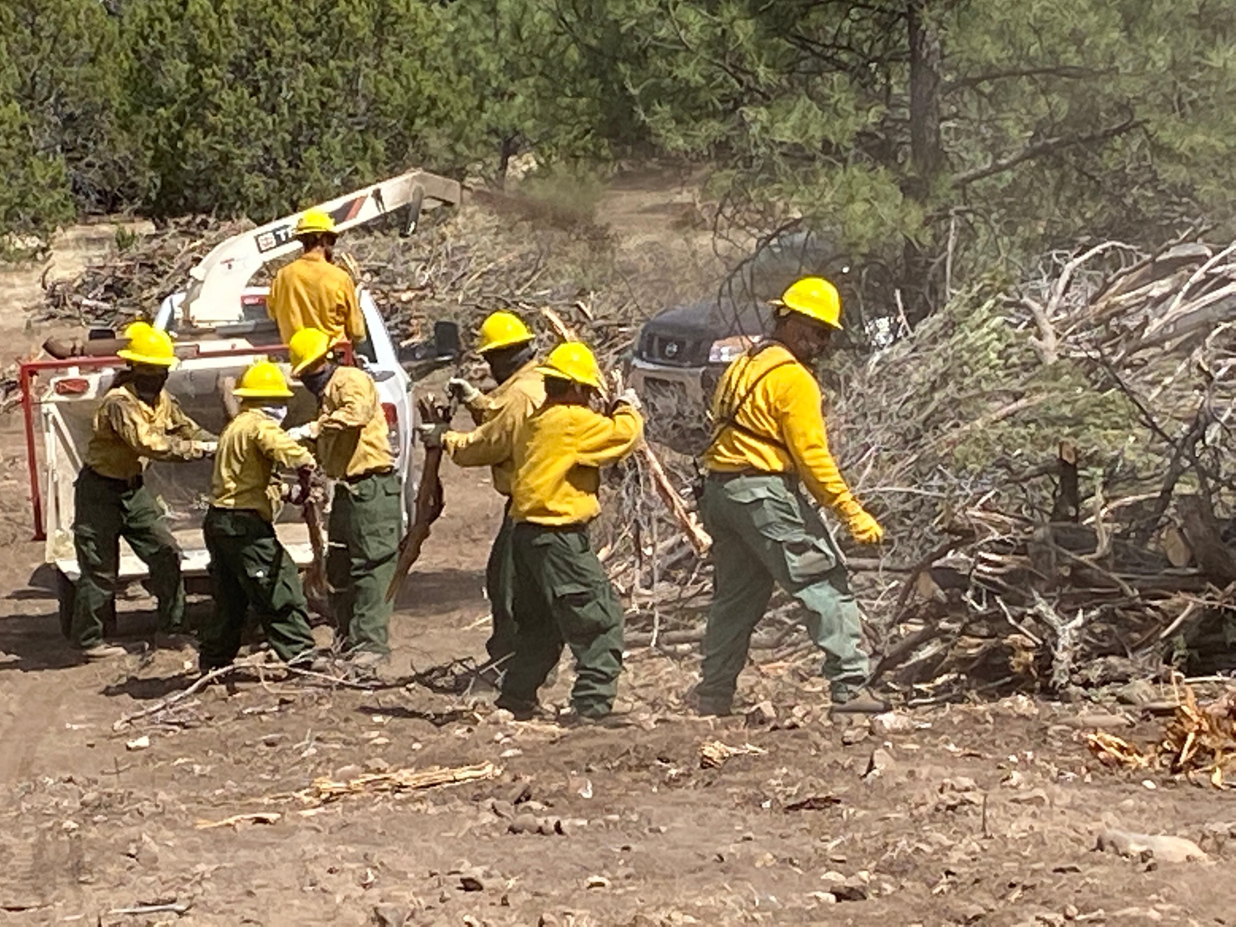 Multiple firefighters in yellow shirts and hardhats lined up with a chipper nearby. Crew passes vegetation down their line to fed into the chipper. Forest in background.