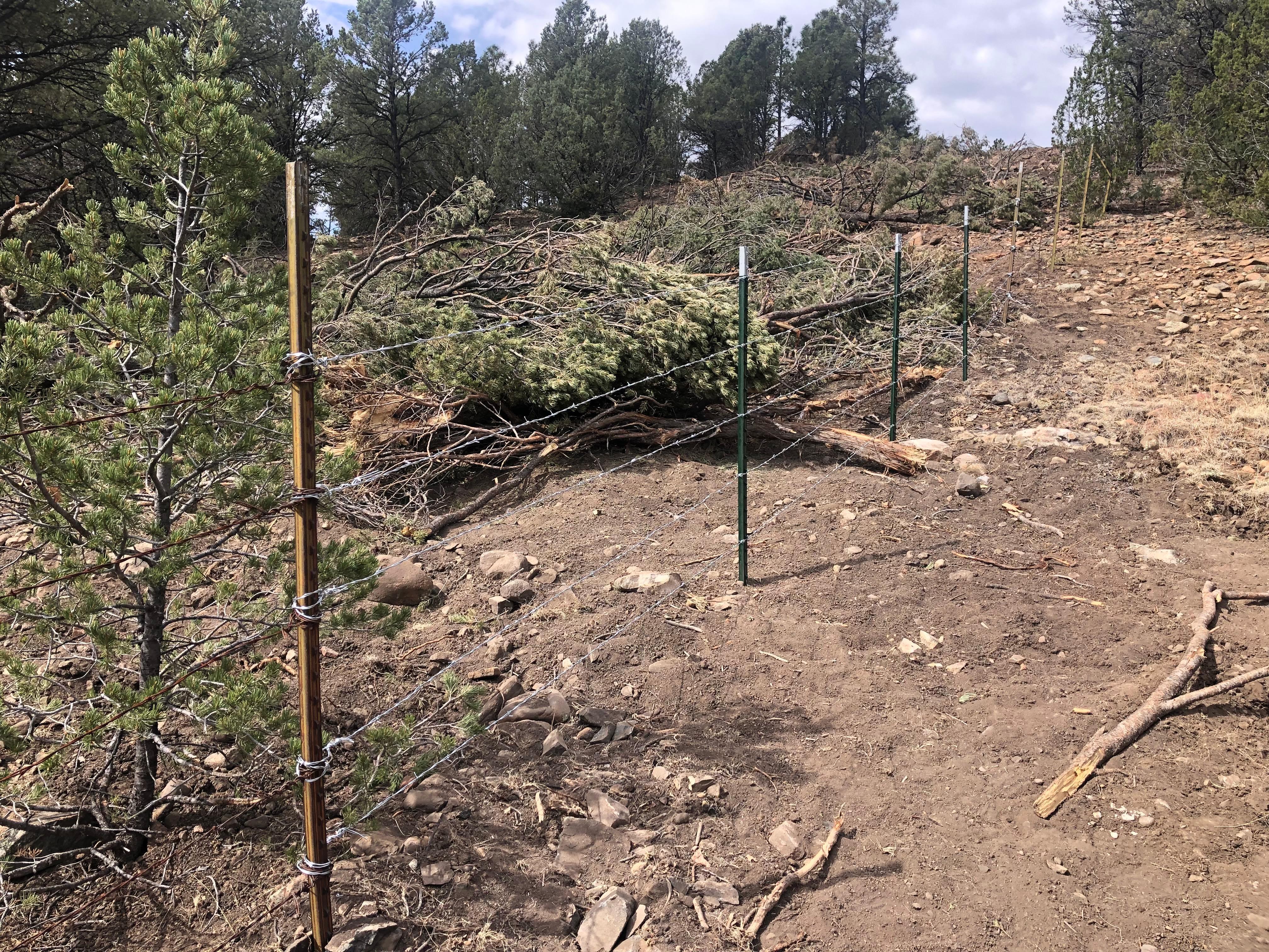 Picture shows a newly repaired four strand barbed wire fence crossing a swath of disturbed soil covered with downed trees and branches. This depicts a repaired dozer line.
