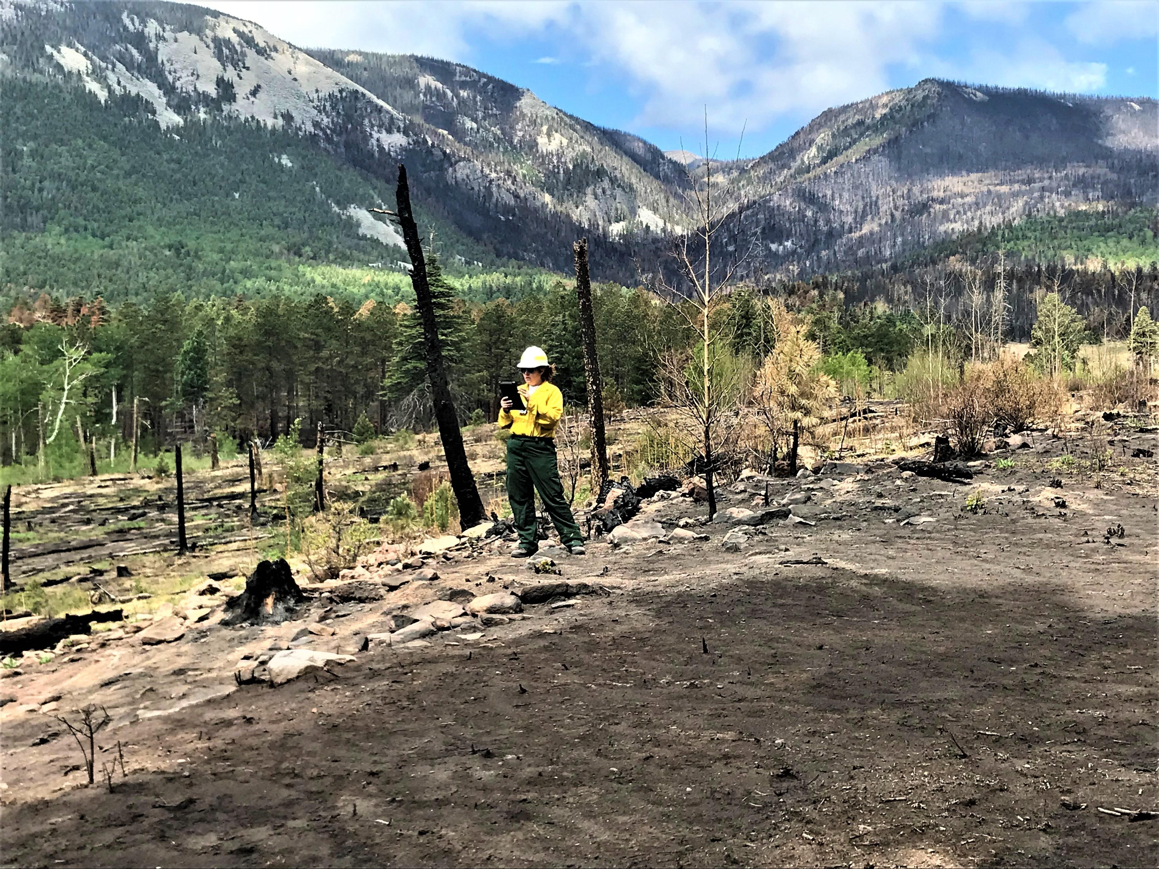 Image showing BAER Specialist Nikki Berkebile (Santa Fe NF Archaeologist) is using the Survey123 data collection program to document this burned cultural resources site in the Upper Mora River Watershed area of the Hermits Peak-Calf Canyon Fire perimeter