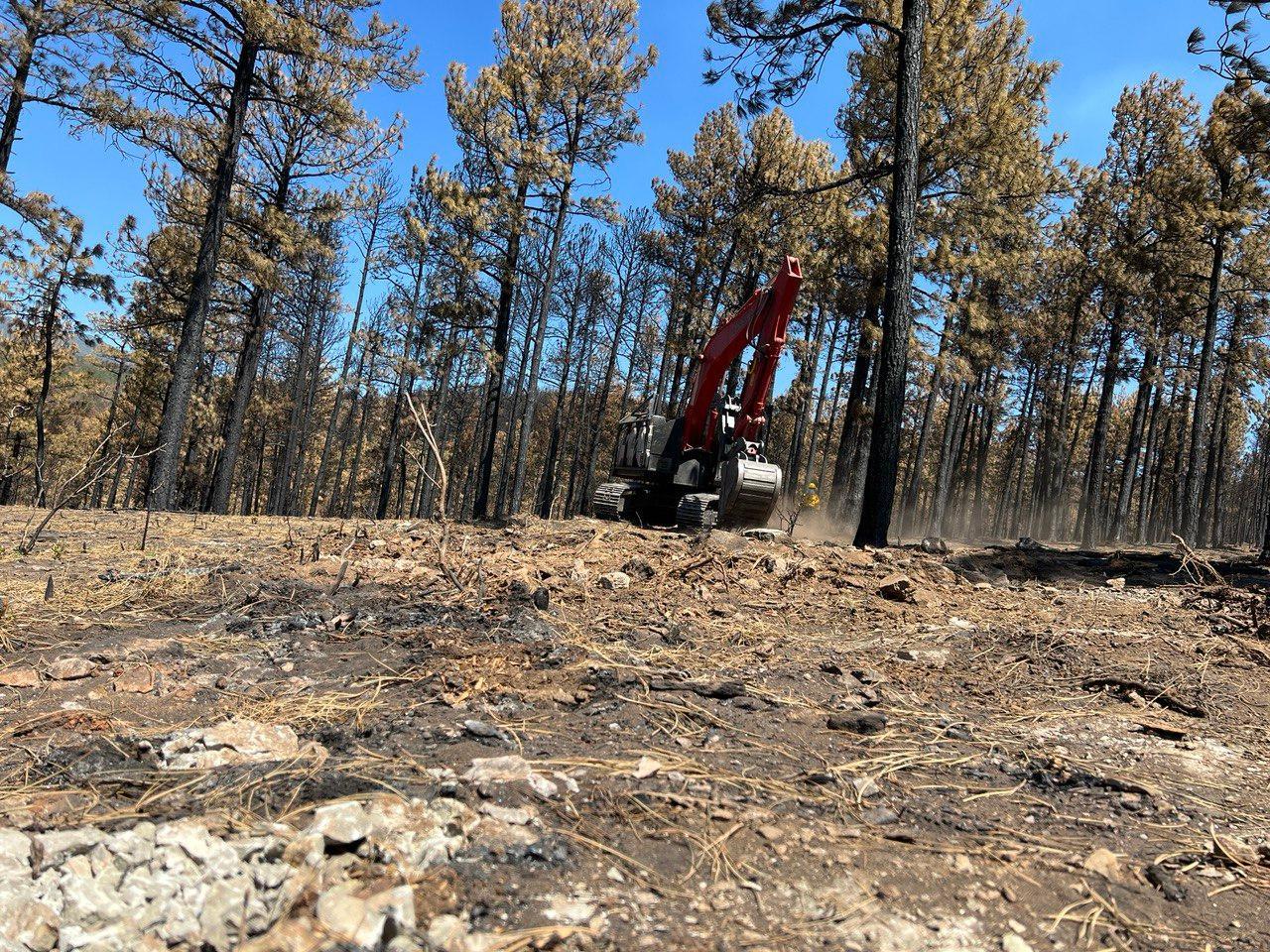 Rocky, dirt covered ground with red, heavy equipment called an excavator working in the background.  Burned, black trees with brown pine needles fill the background against a blue sky.