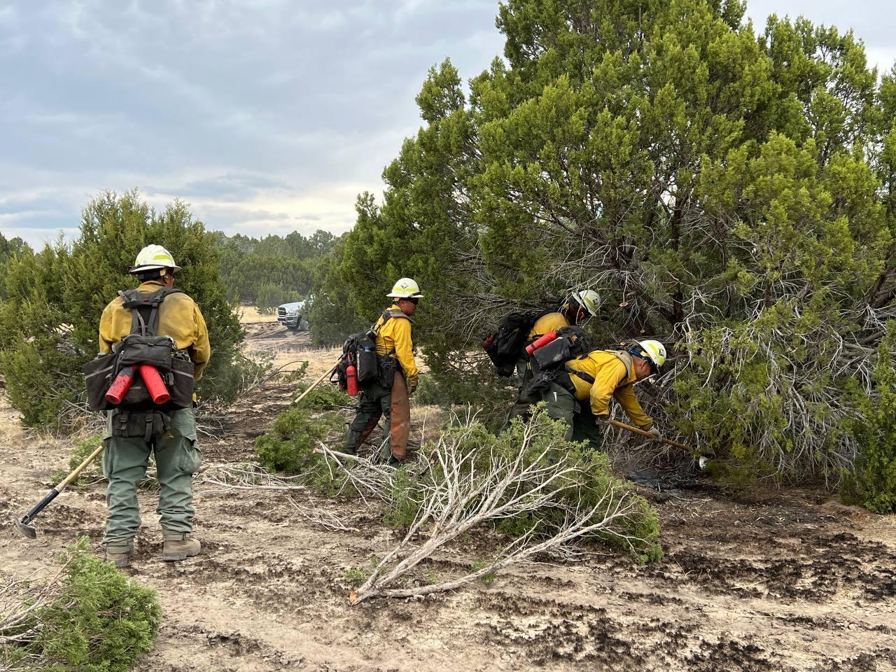 4 male firefighters work to remove vegetation. One uses a chainsaw to cut branches, one firefighter pulls cut branches to the side, two firefighters use tools to stir dirt and extinguish heat.